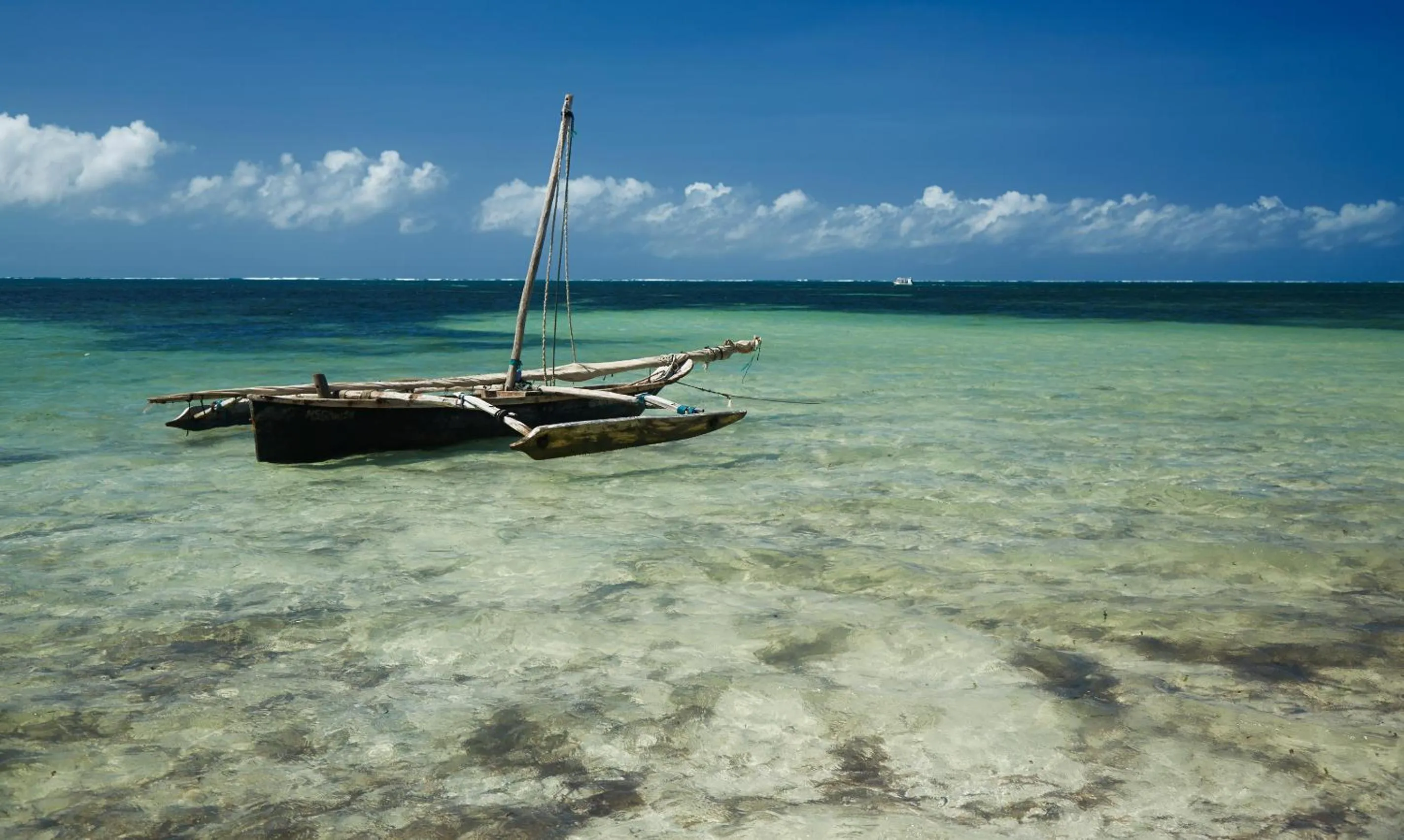 Beach in Neptune Beach Resort - All Inclusive