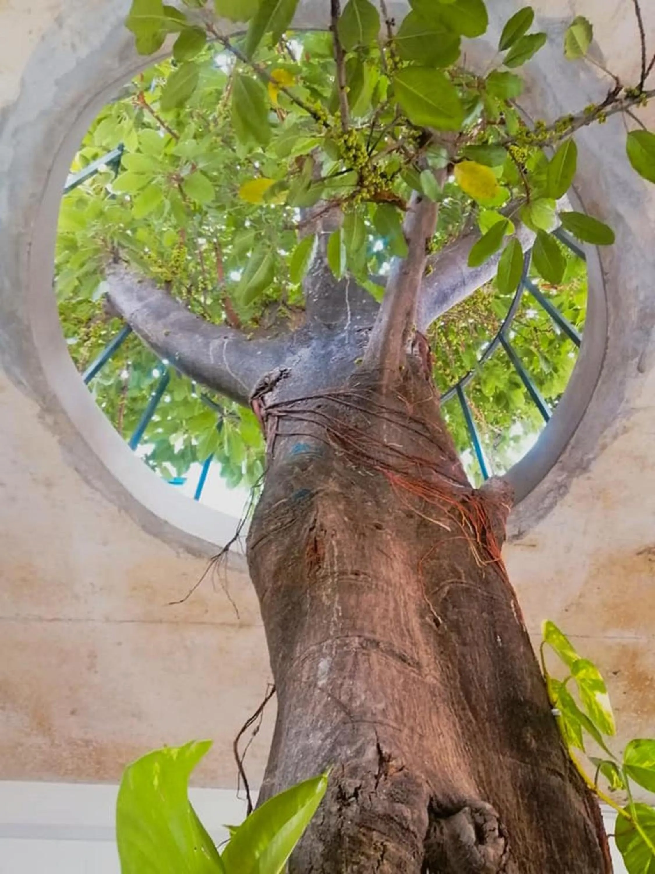 View (from property/room) in The B Resort