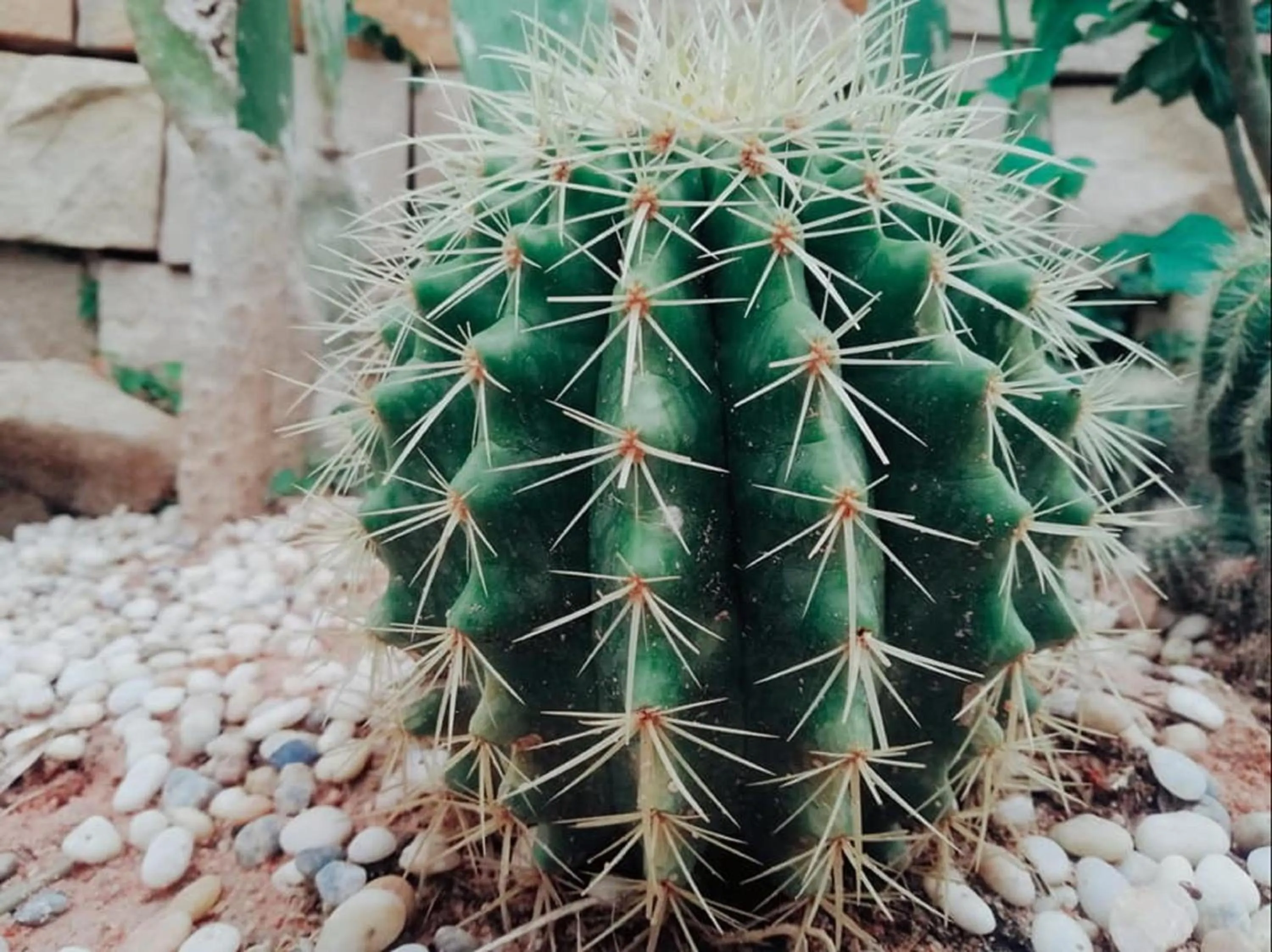 Other in The B Resort