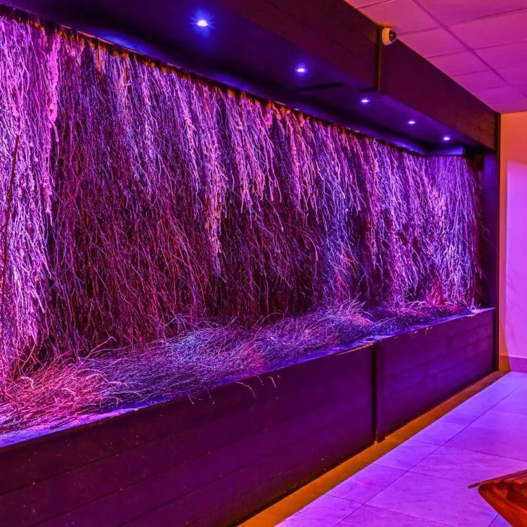 Swimming pool in Hotel Business Faltom Gdynia