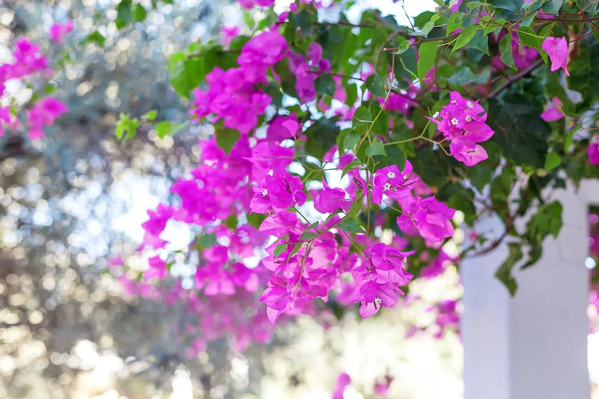 View (from property/room) in The Ship Inn Hotel View (from property/room) in The Ship Inn Hotel