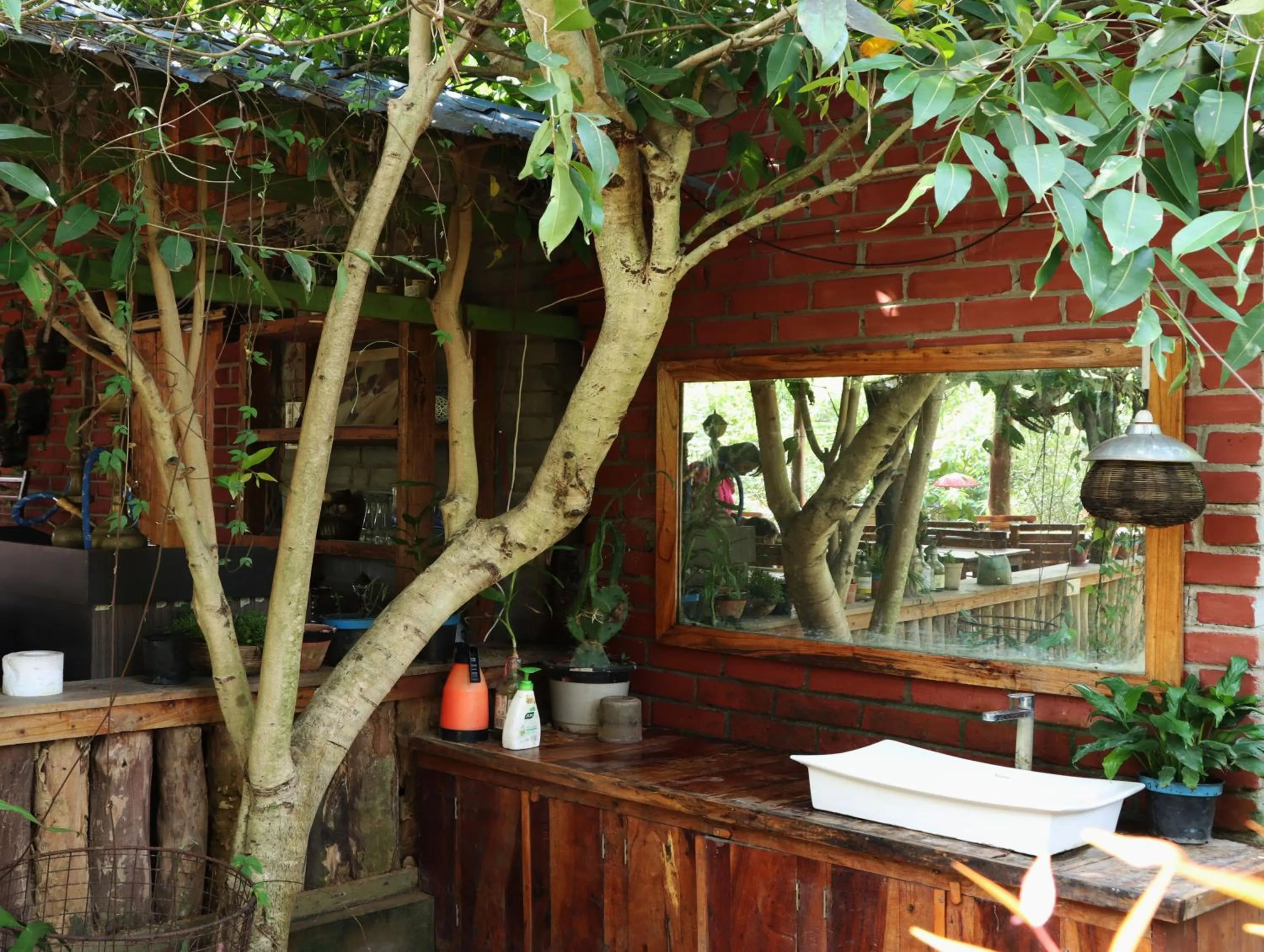 Restaurant/places to eat in Panchobon Art Resort