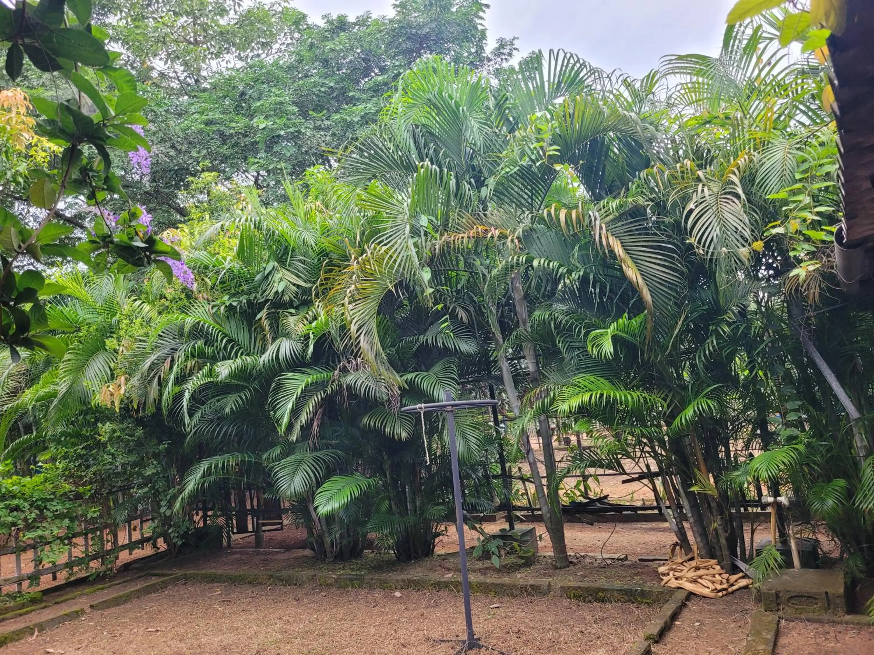 Garden view in Panchobon Art Resort