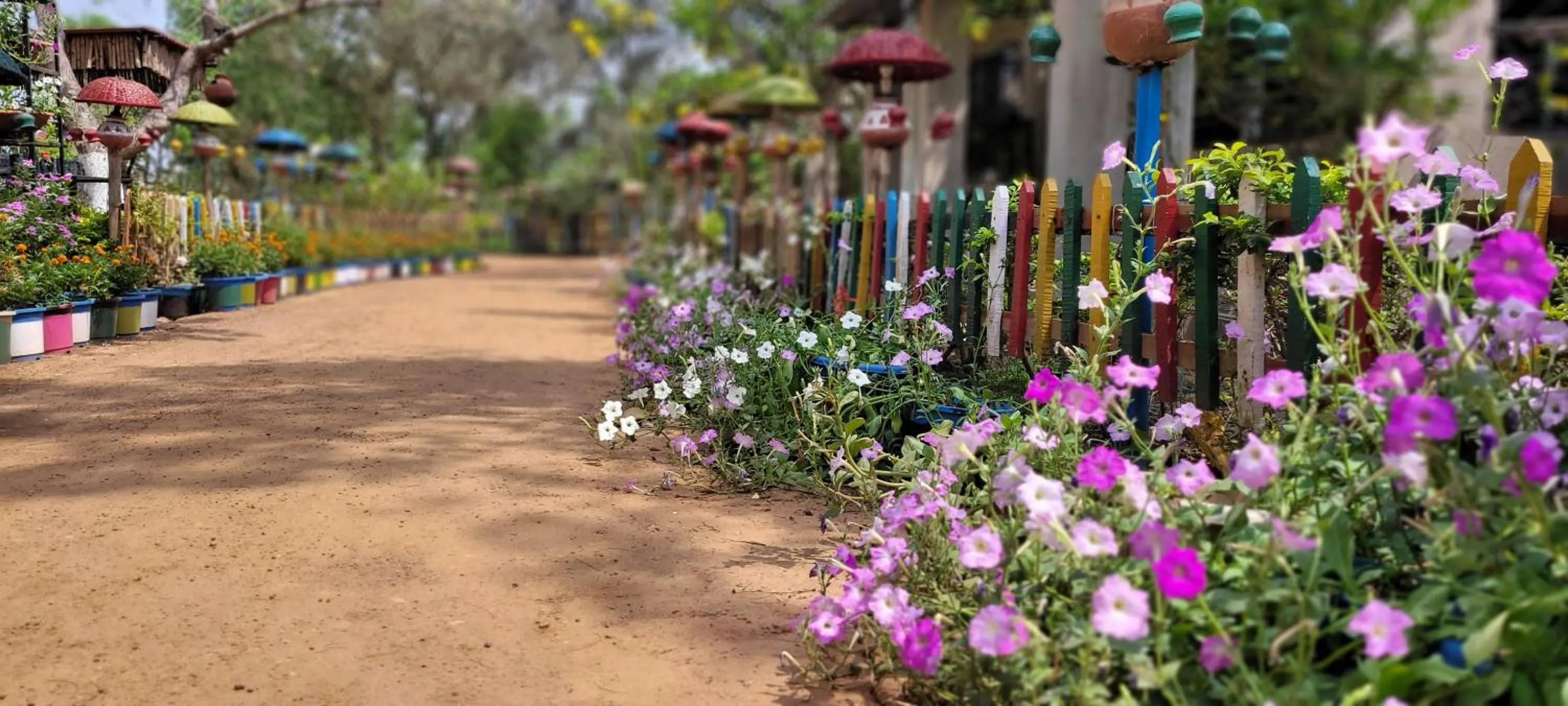 Day in Panchobon Art Resort