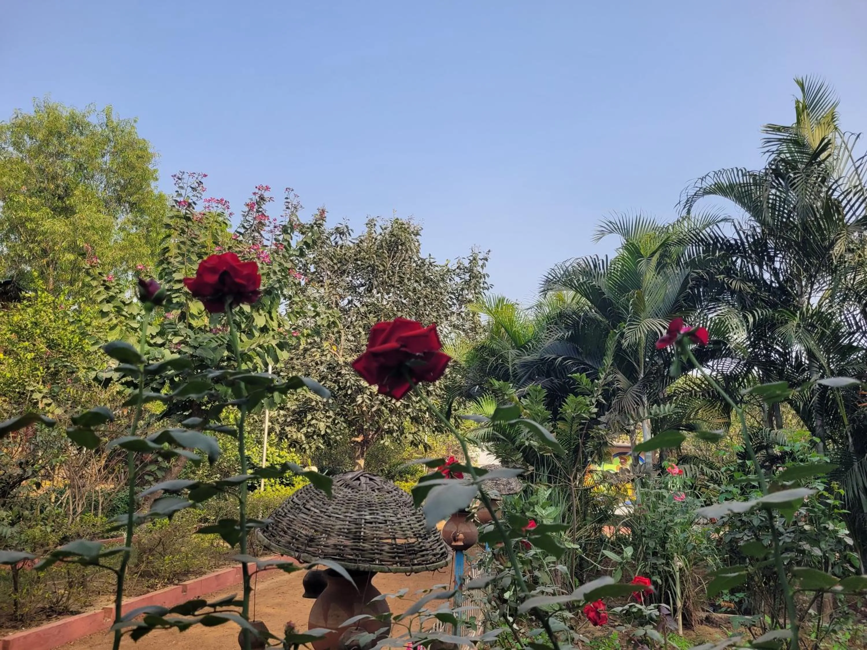 Garden view in Panchobon Art Resort