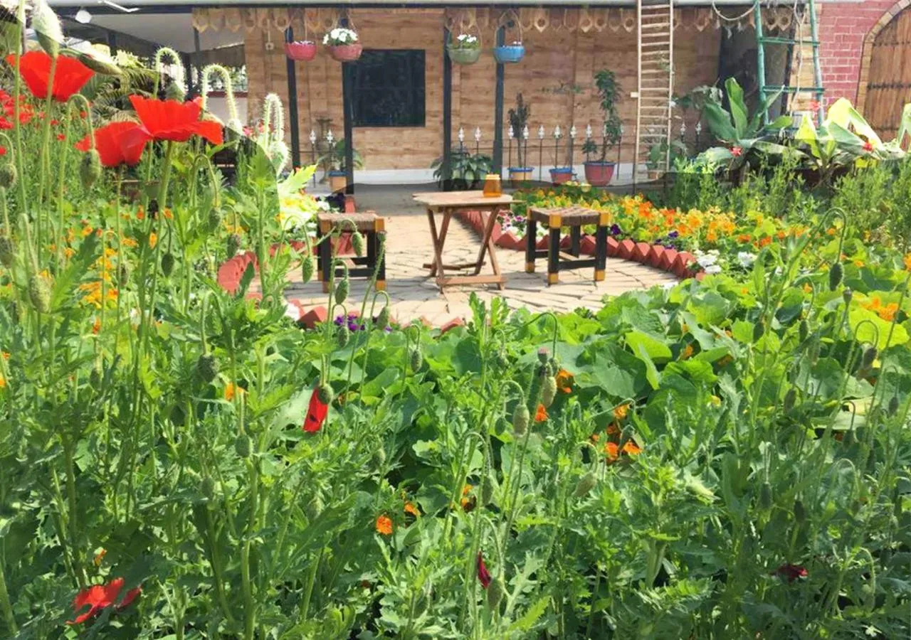 Garden in Panchobon Art Resort