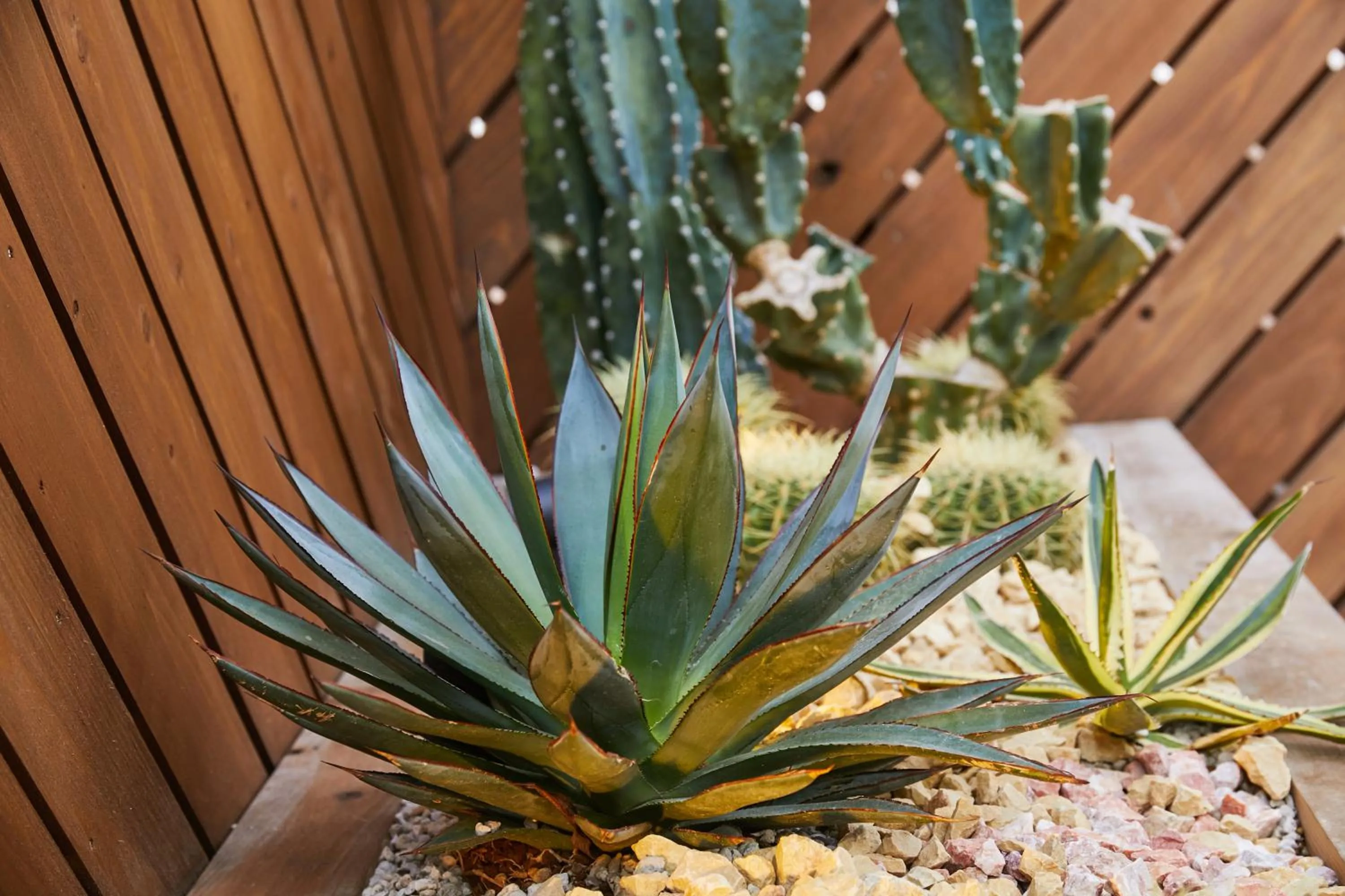 Balcony/Terrace in mizuka Daimyo 7 - unmanned hotel -
