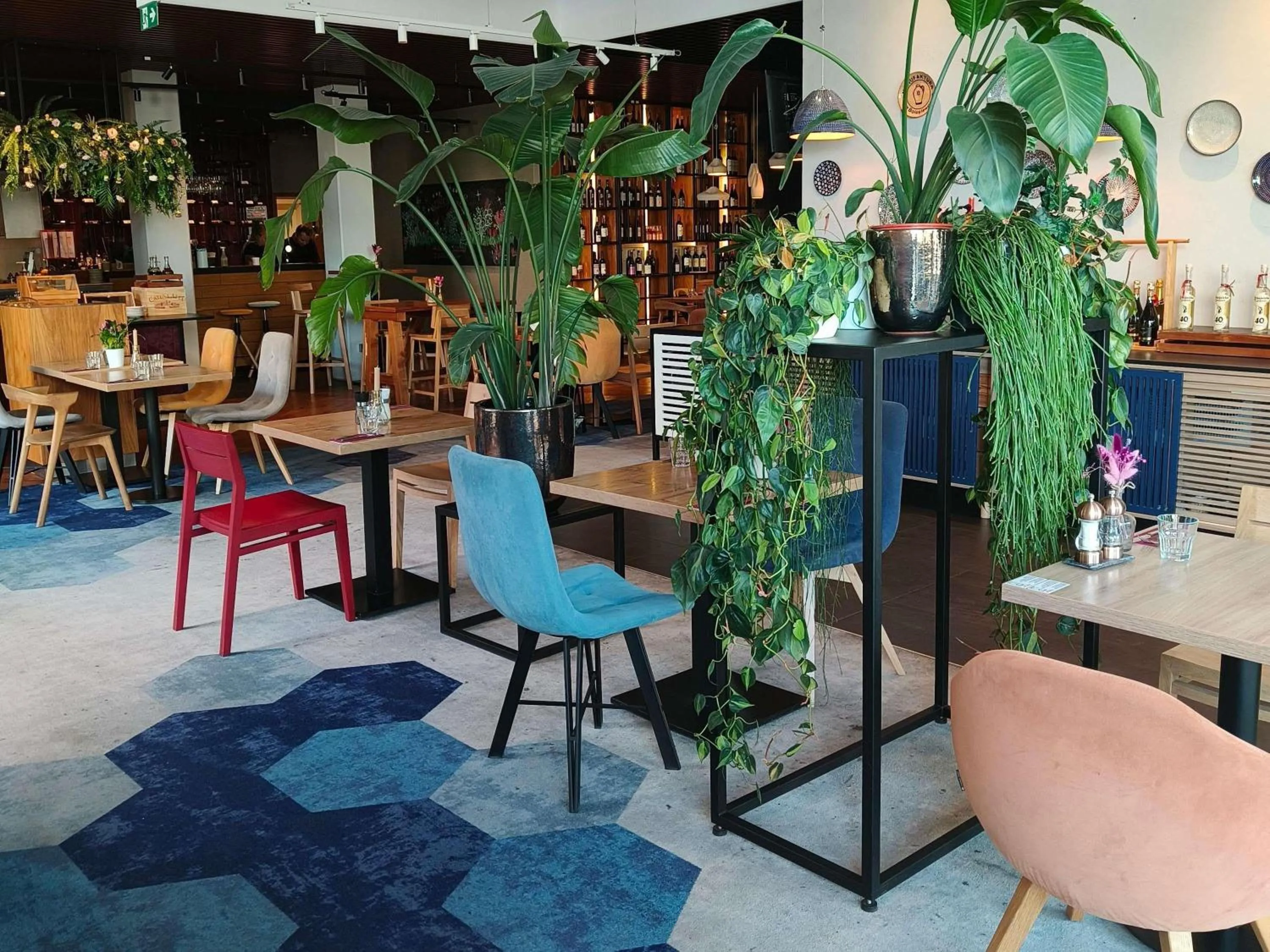 Restaurant/places to eat in ibis styles Bolesławiec