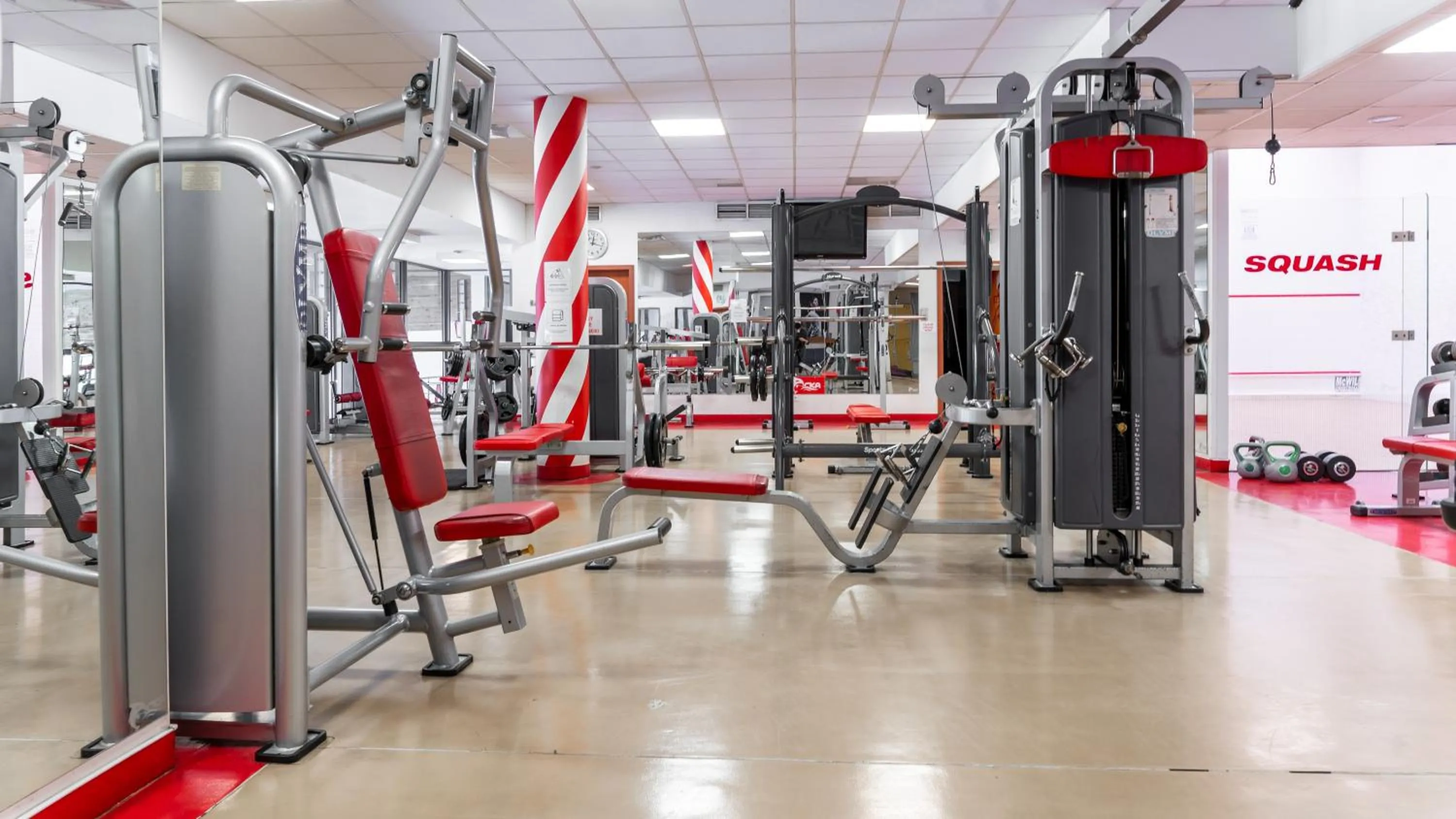 Activities in ibis styles Bolesławiec