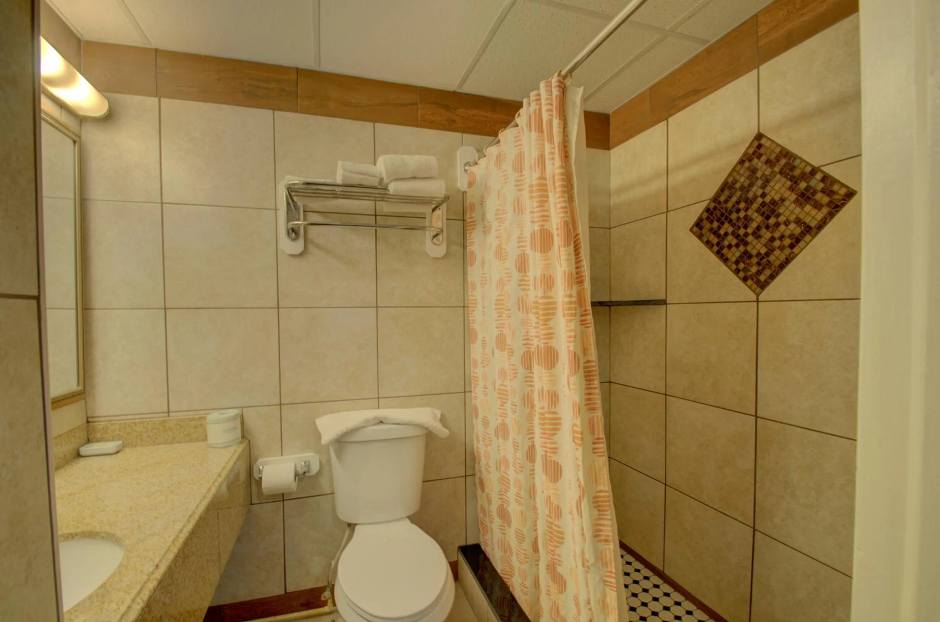 Shower in Village Inn Annapolis MD