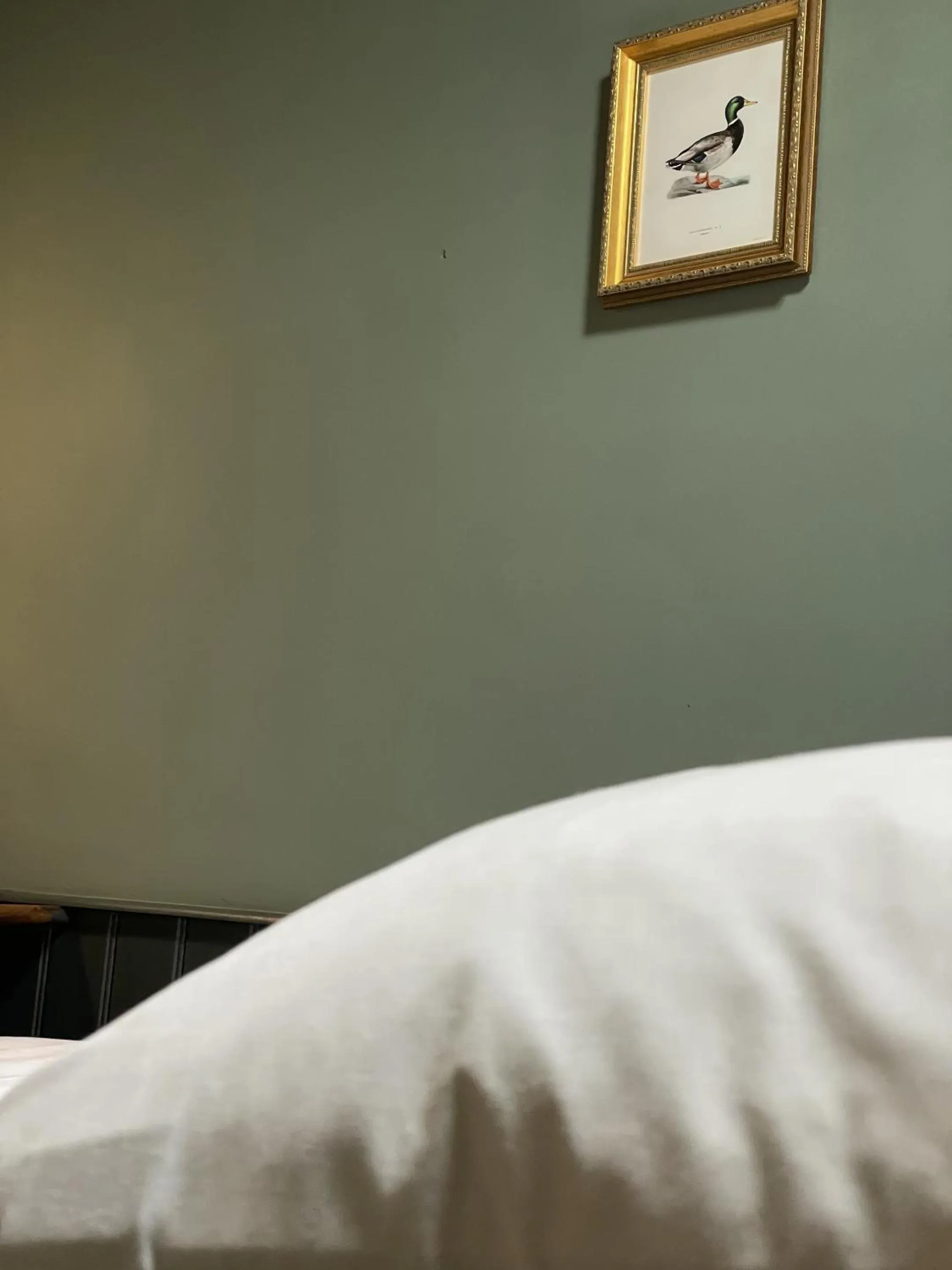 Bedroom, Bed in The Plume of Feathers