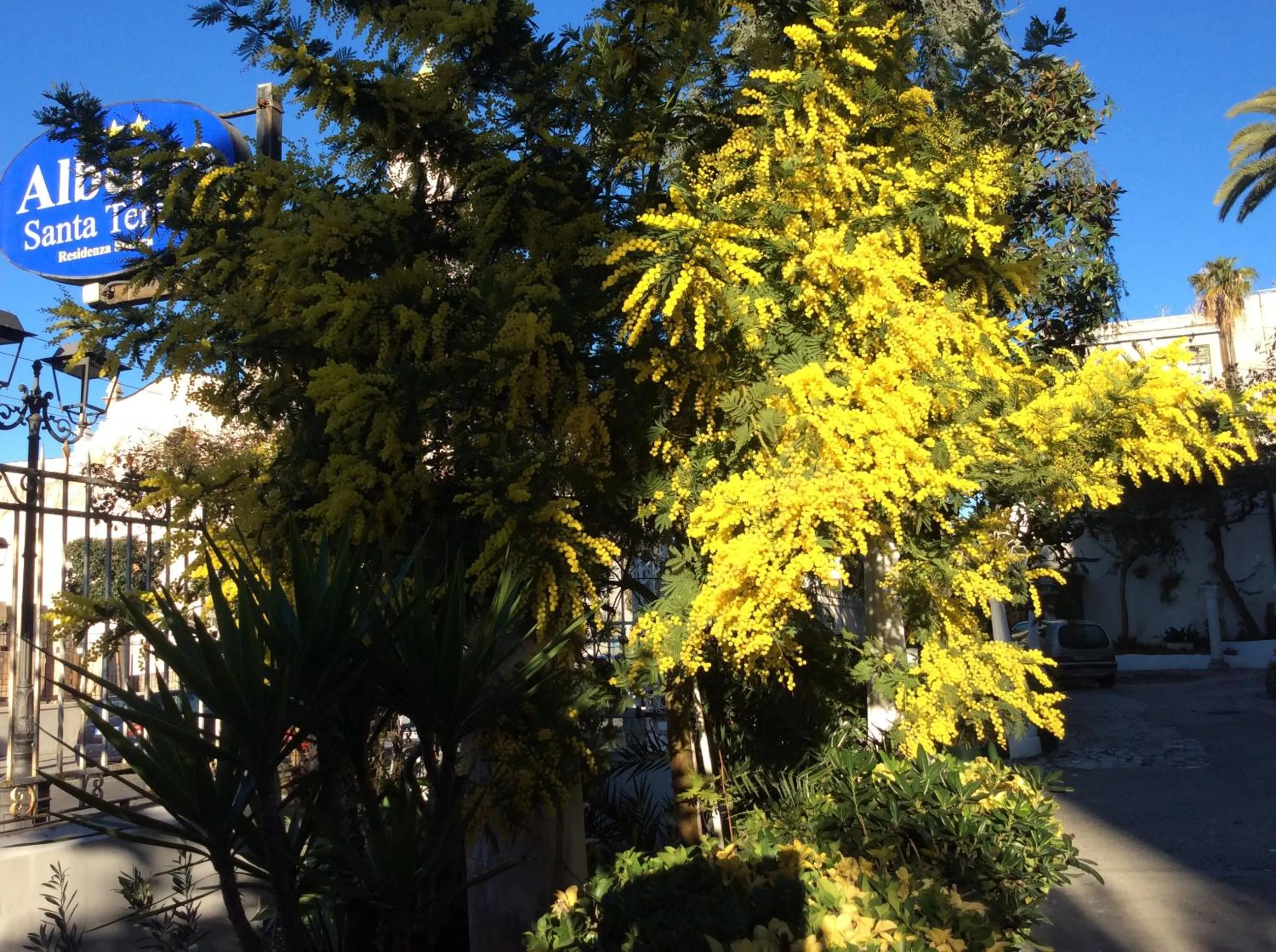 Albergo Santa Teresa