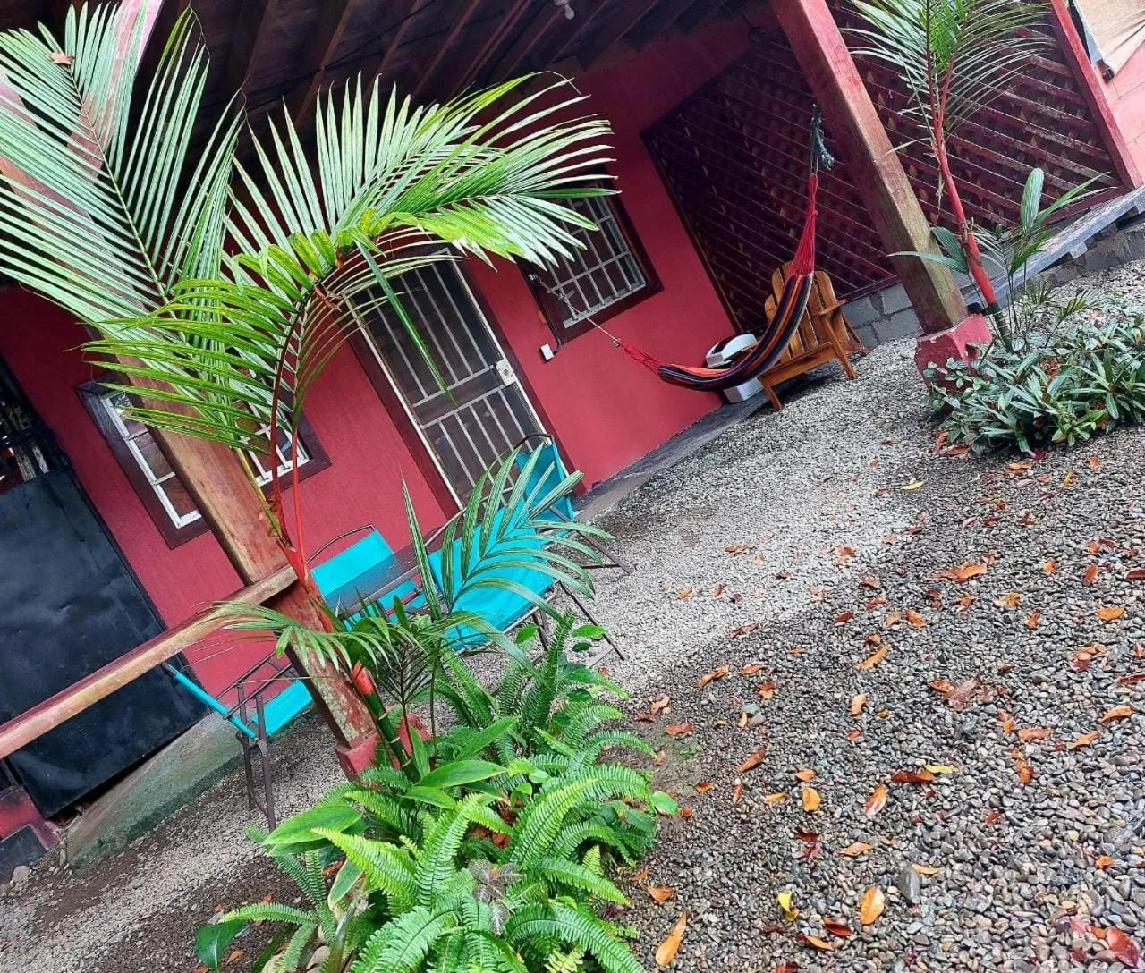Garden in Hotel Casa Vito Beachfront