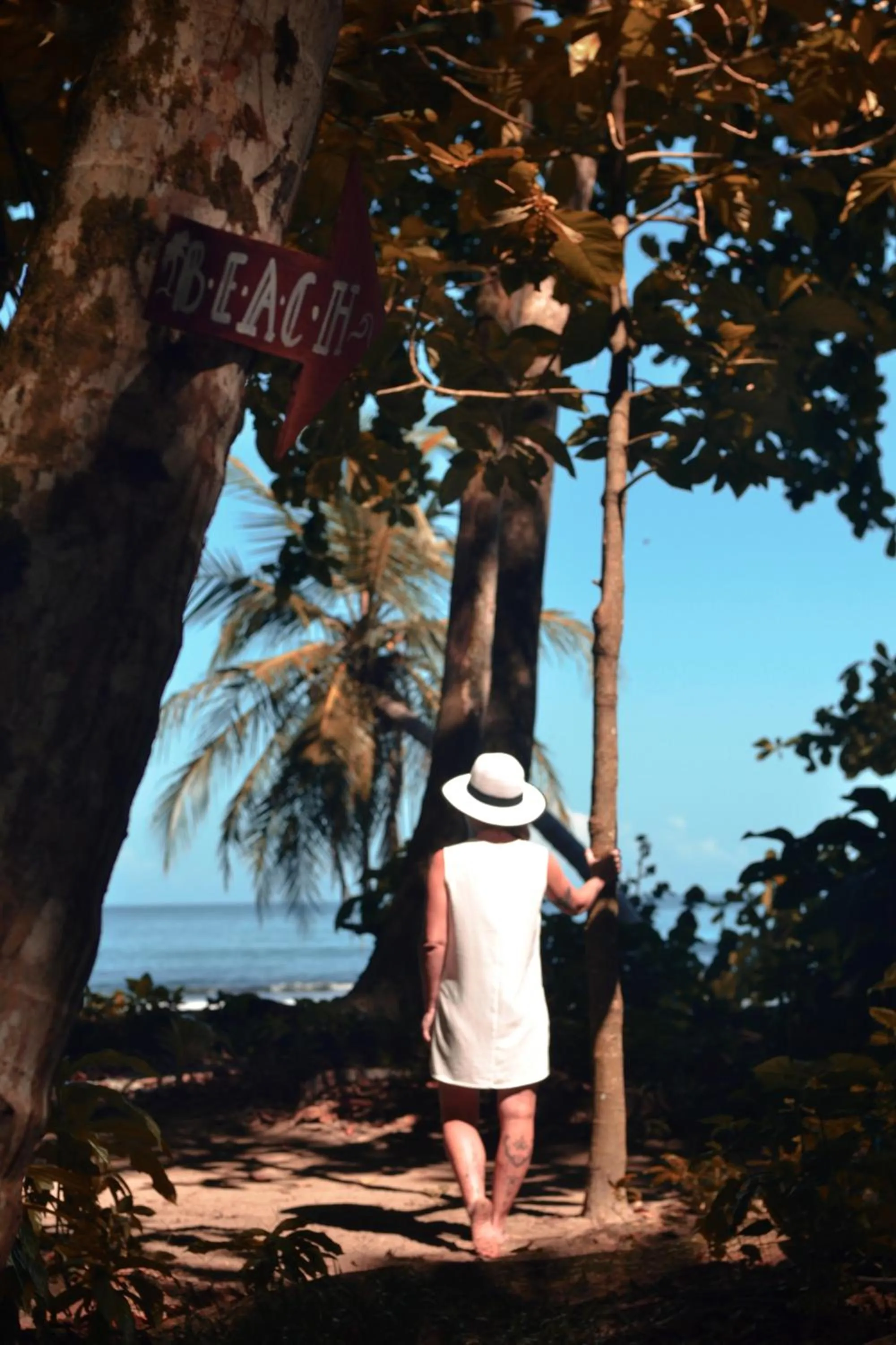 Natural landscape in Hotel Casa Vito Beachfront