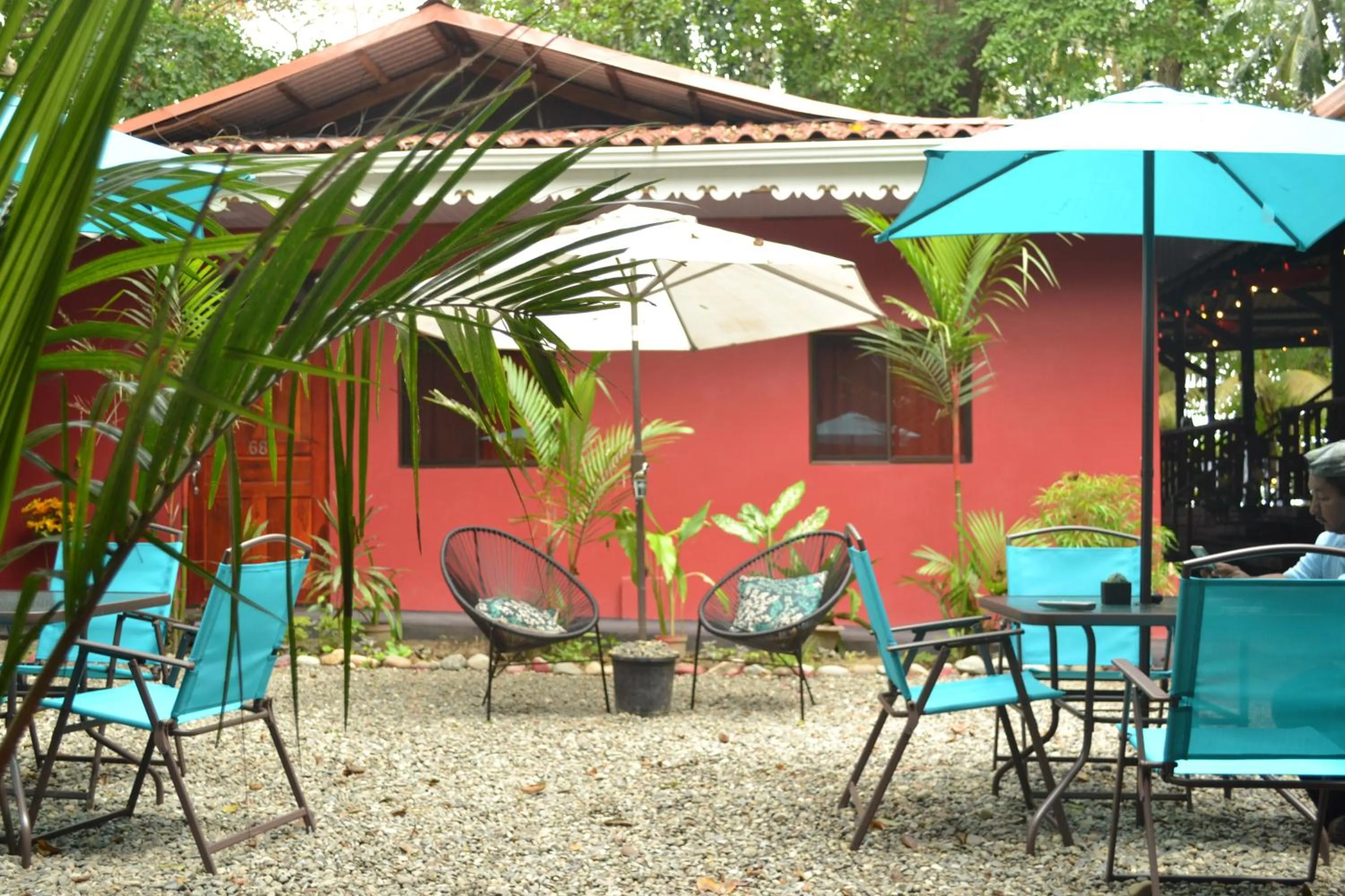Garden in Hotel Casa Vito Beachfront