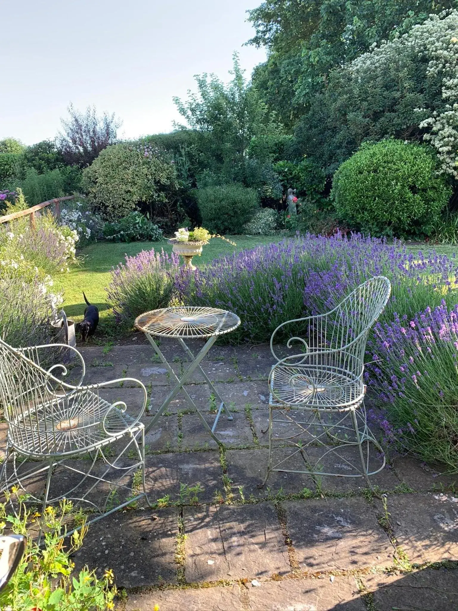 Garden in Cary Fitzpaine House