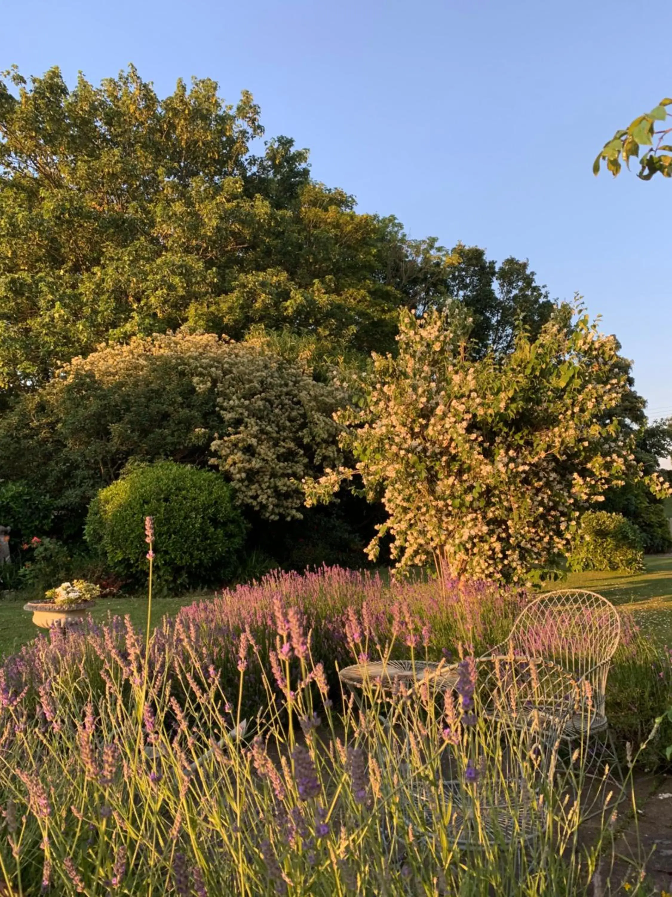 Cary Fitzpaine House