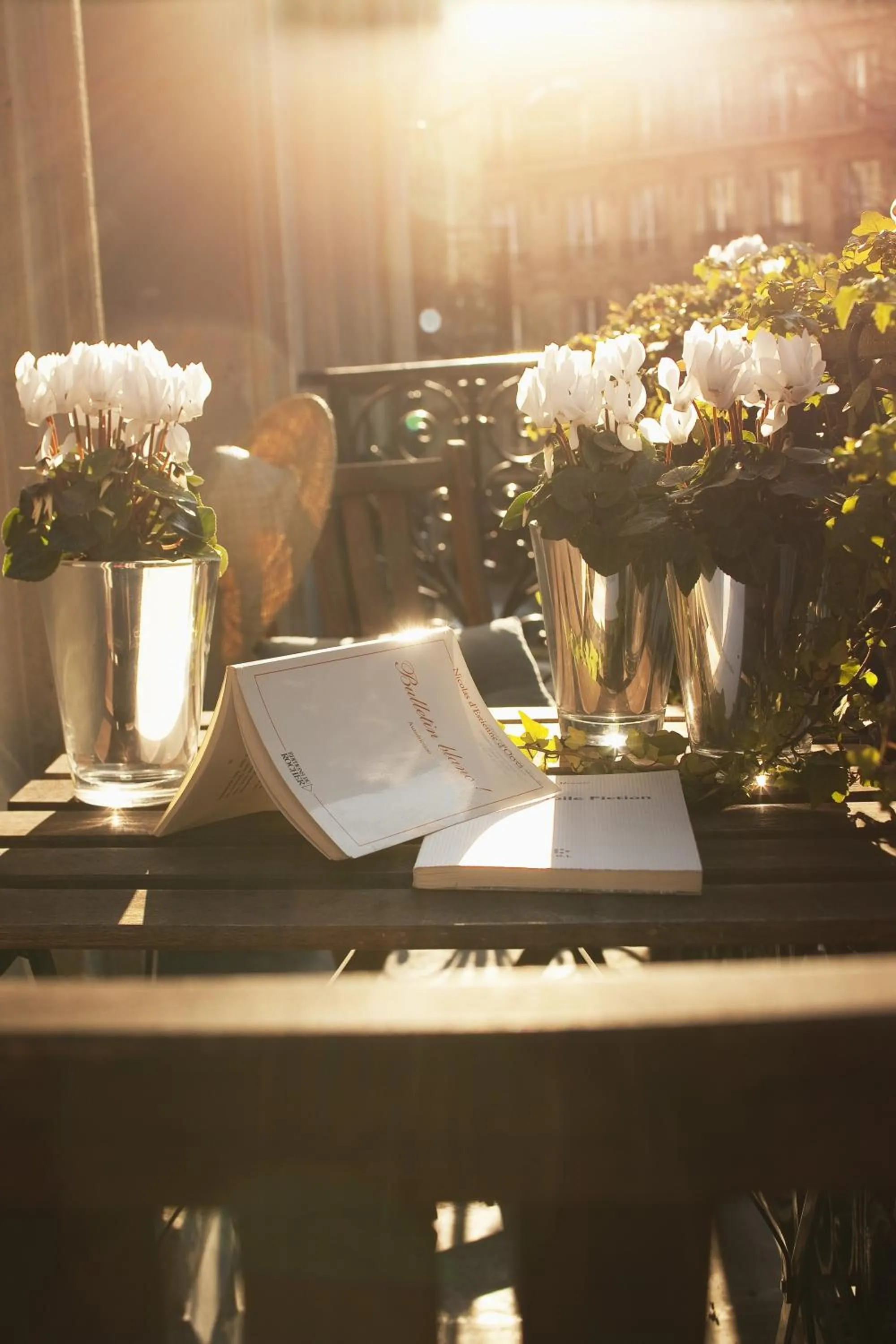 Balcony/Terrace in Hôtel Sainte-Beuve