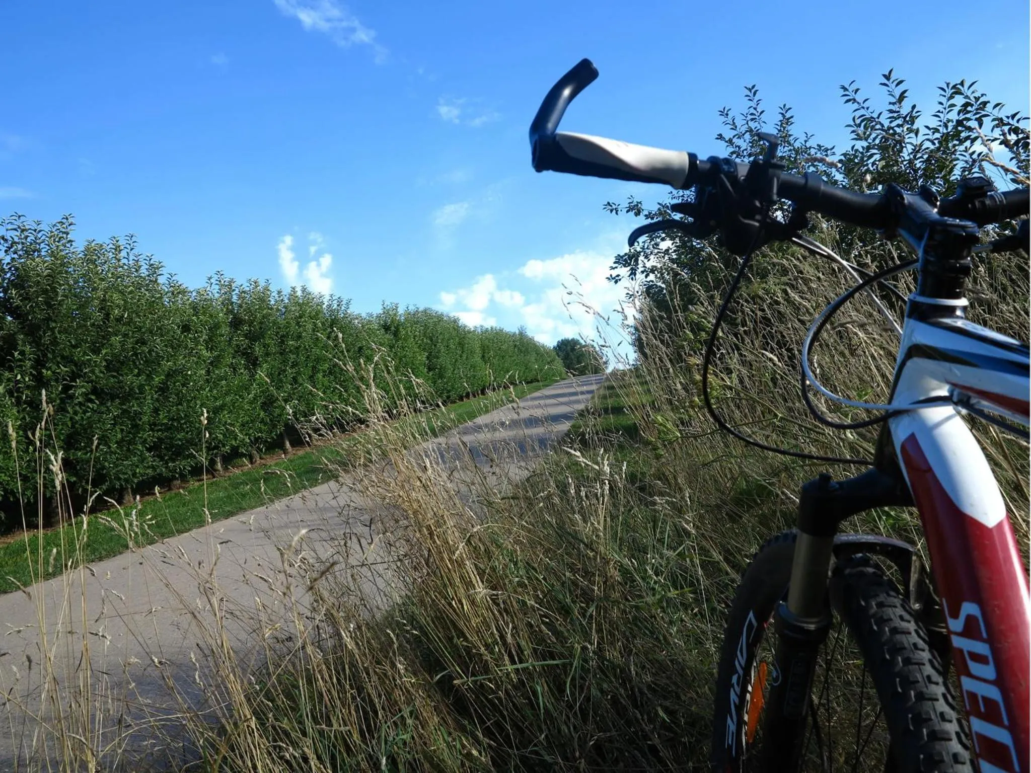 Activities in VILLA ORCHARD Frankfurt