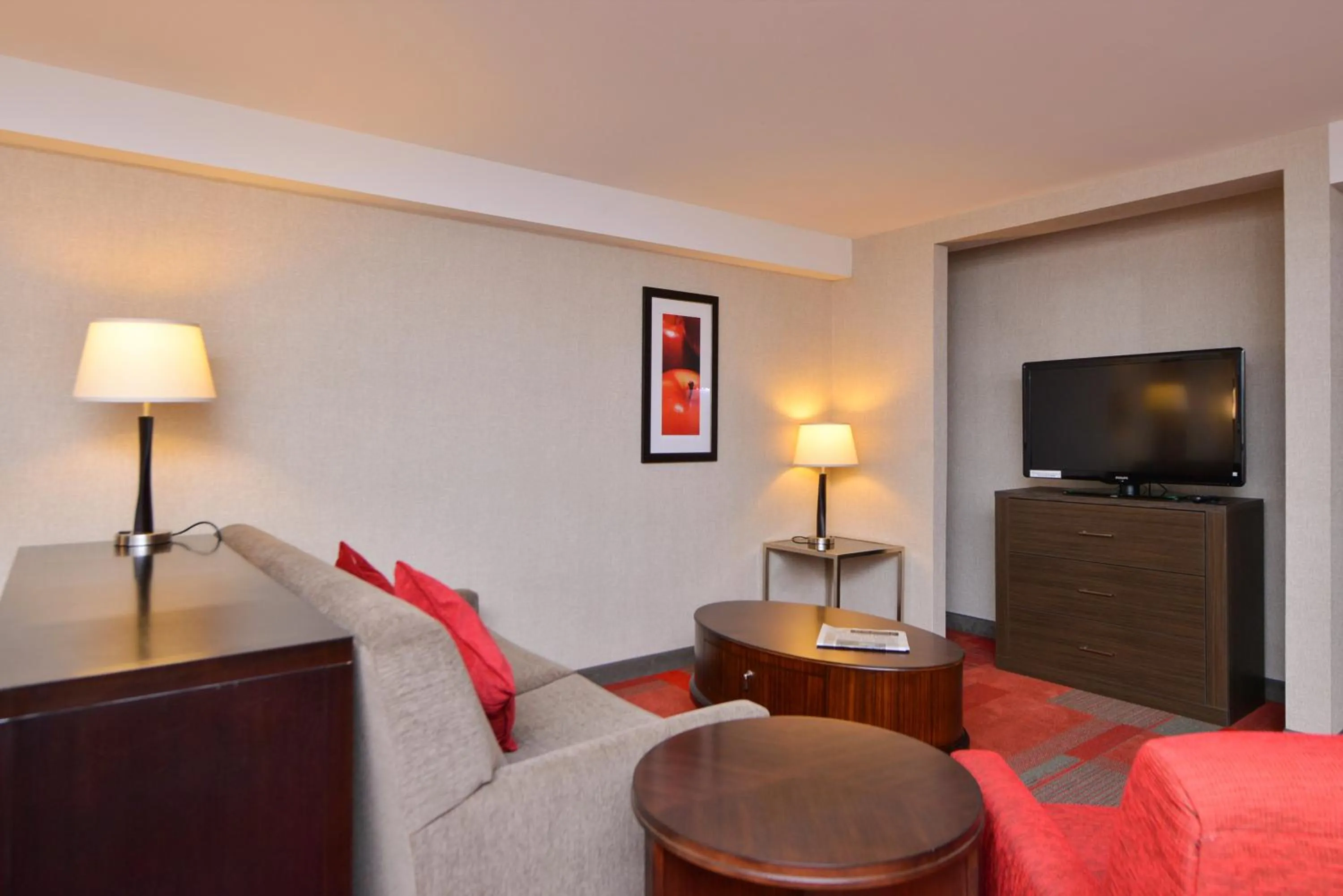 TV and multimedia, TV/Entertainment Center in Radisson Hotel Madison