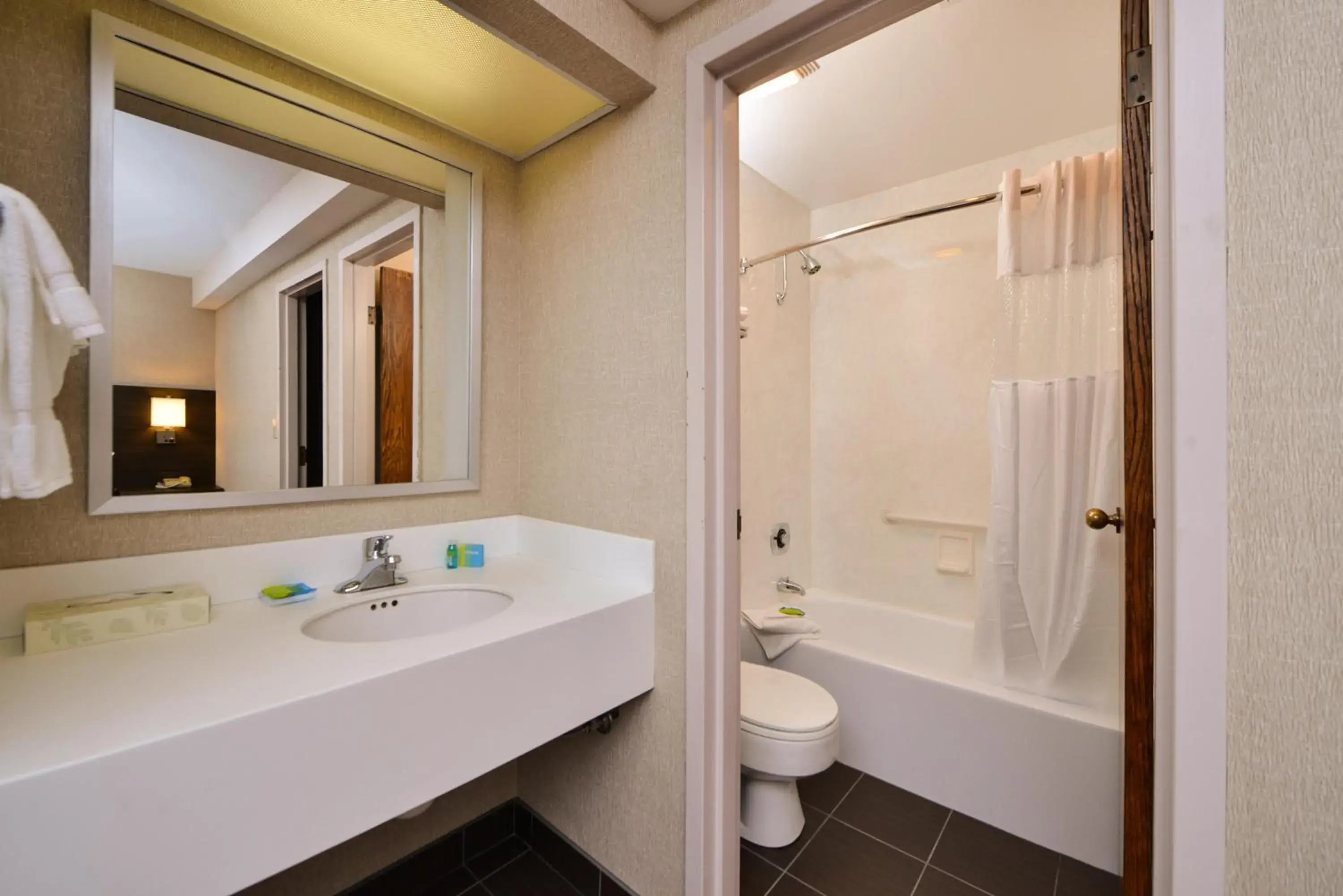 Shower, Bathroom in Radisson Hotel Madison