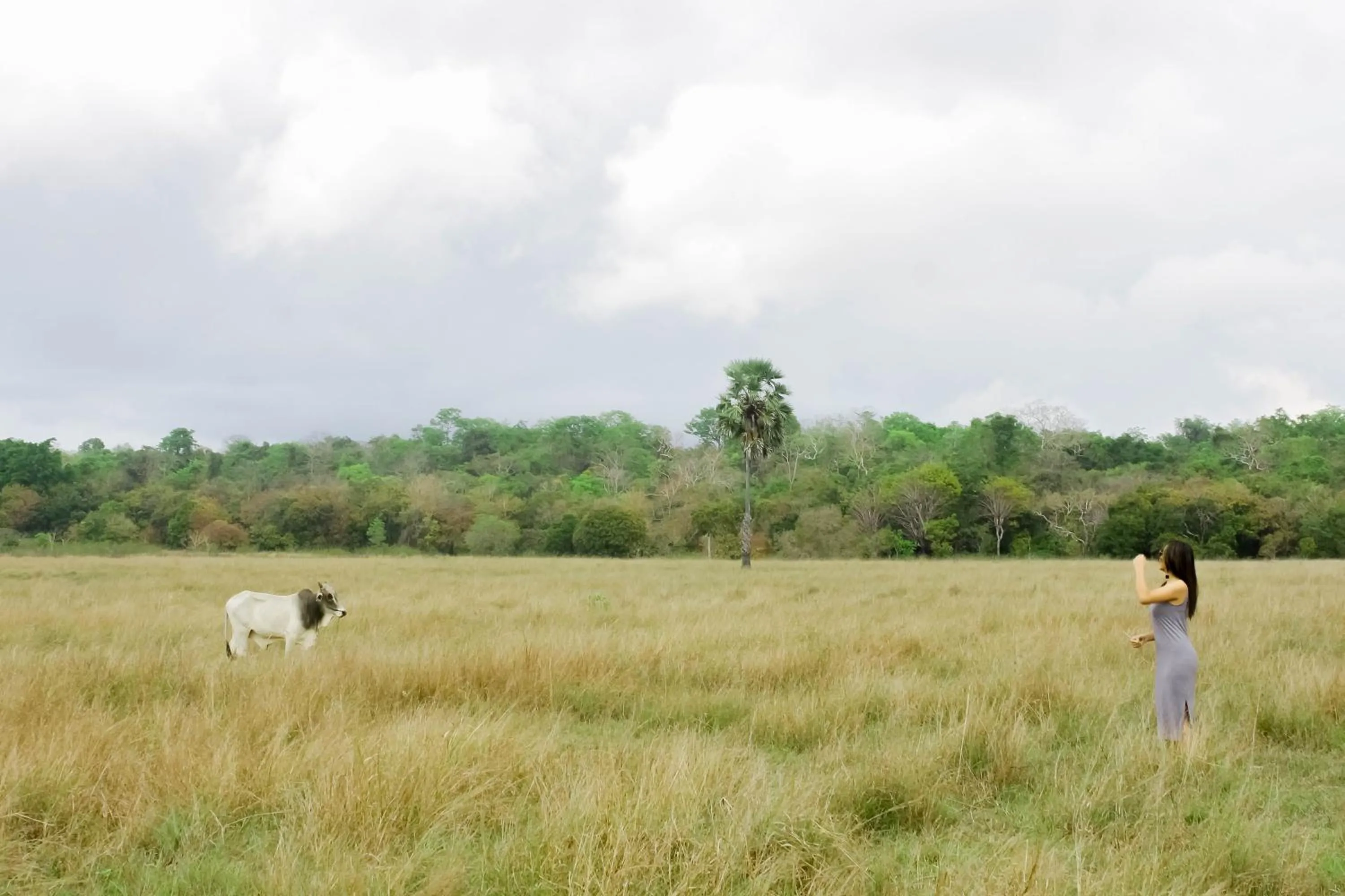 Costa Beach Resort & Club