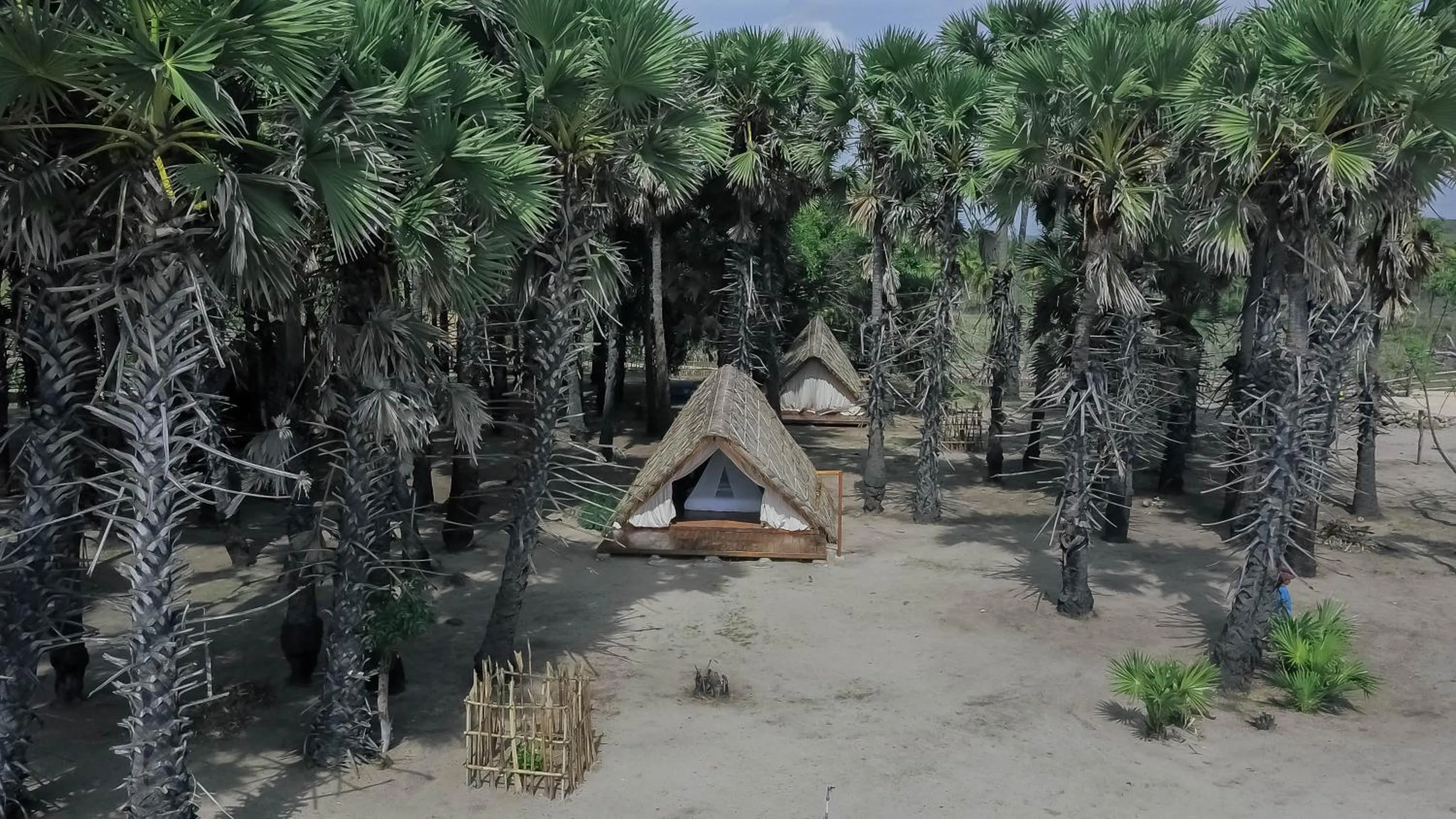 Costa Beach Resort & Club