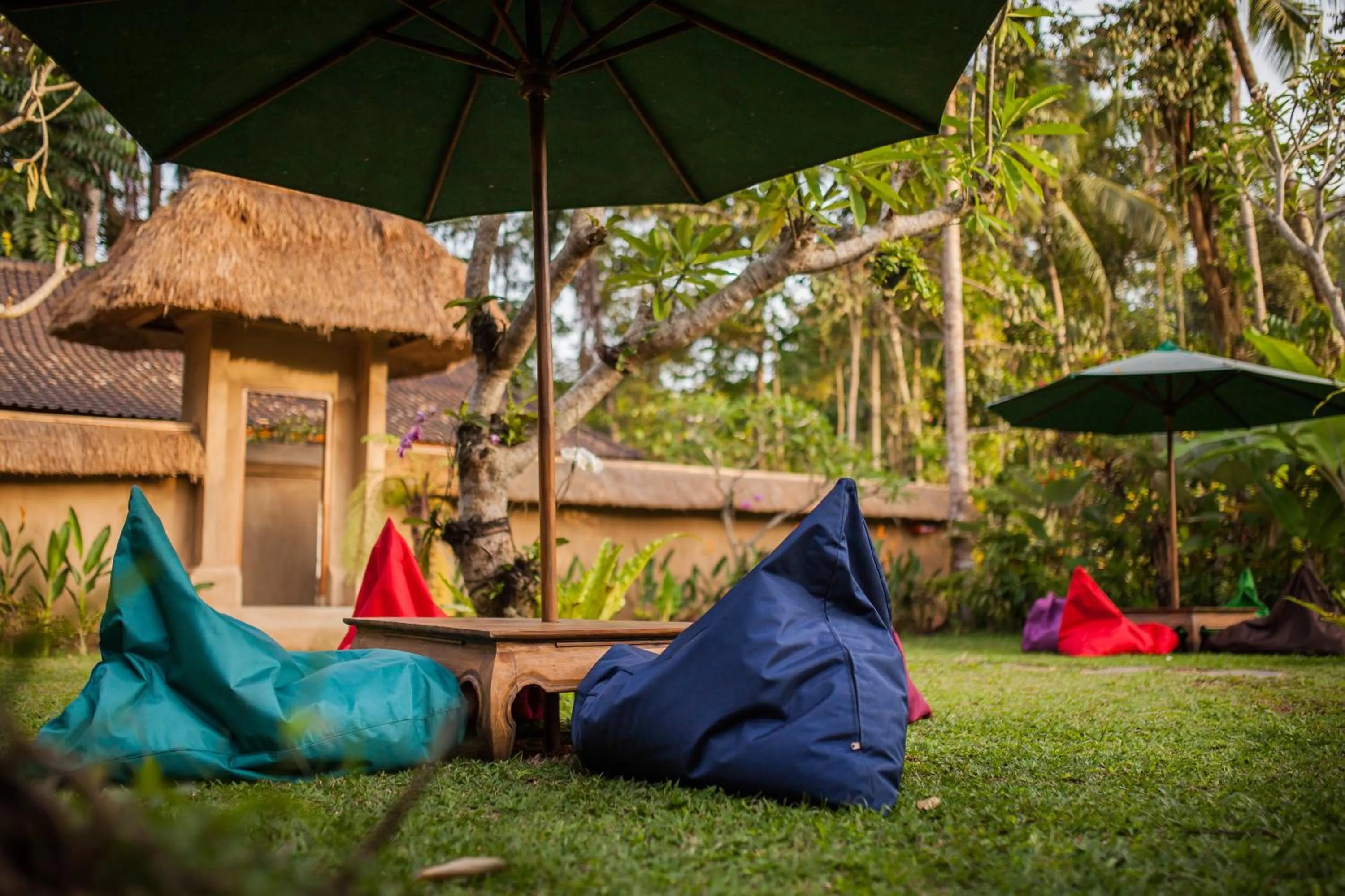 Garden in Abimana Ubud