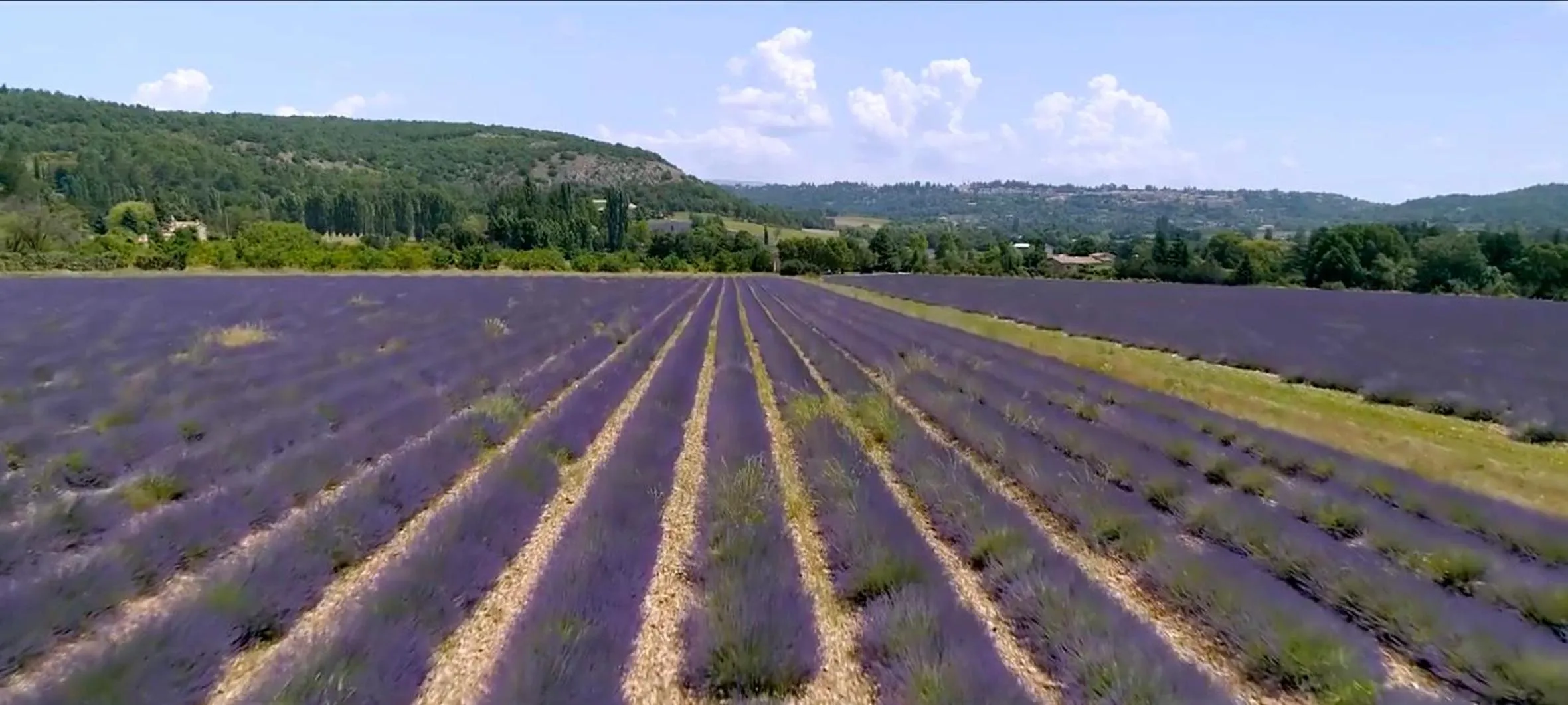 Natural landscape in Le Nesk Ventoux - Hotel