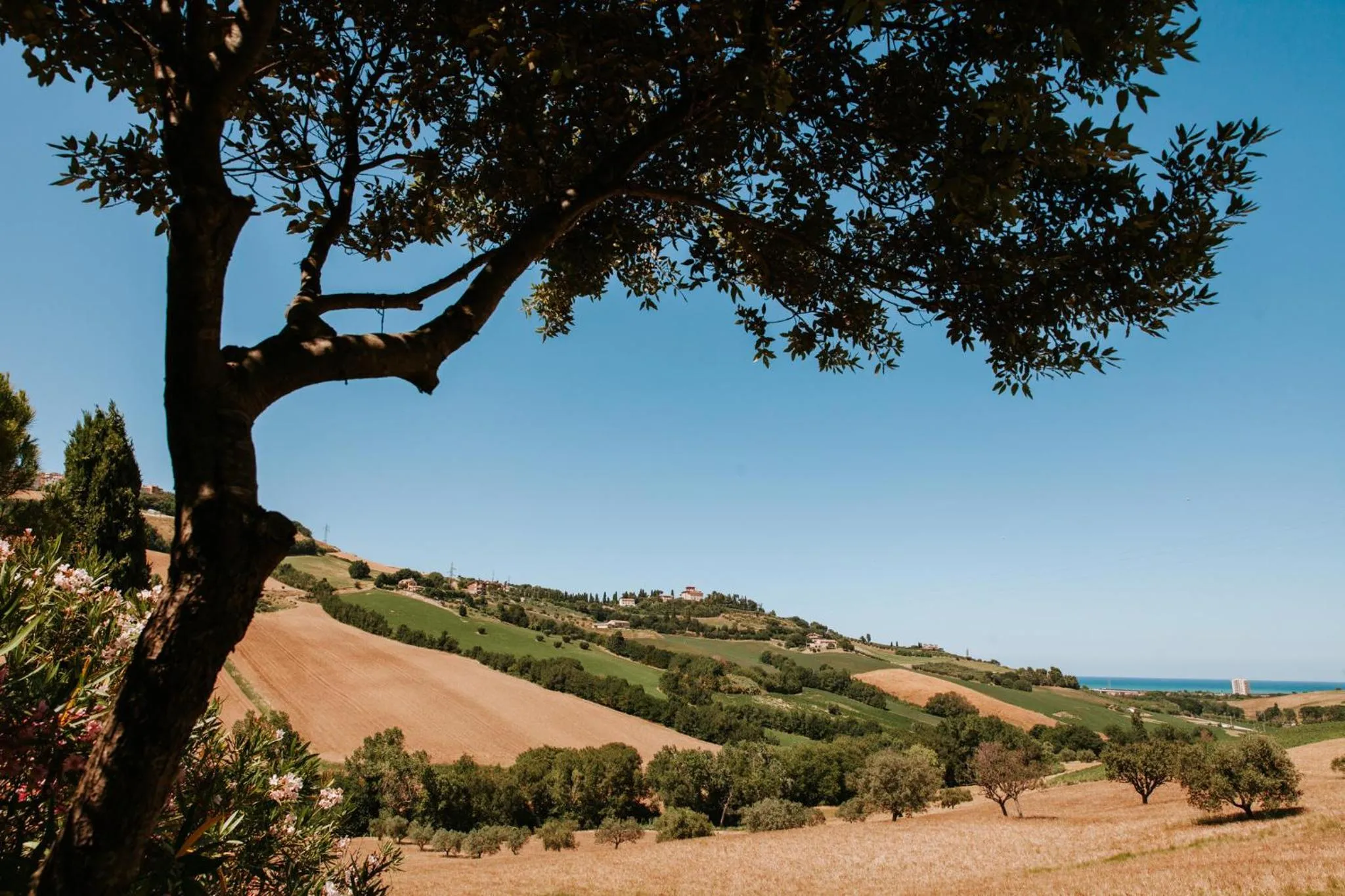 Natural landscape in Villa Collina Sul Mare - Teloni