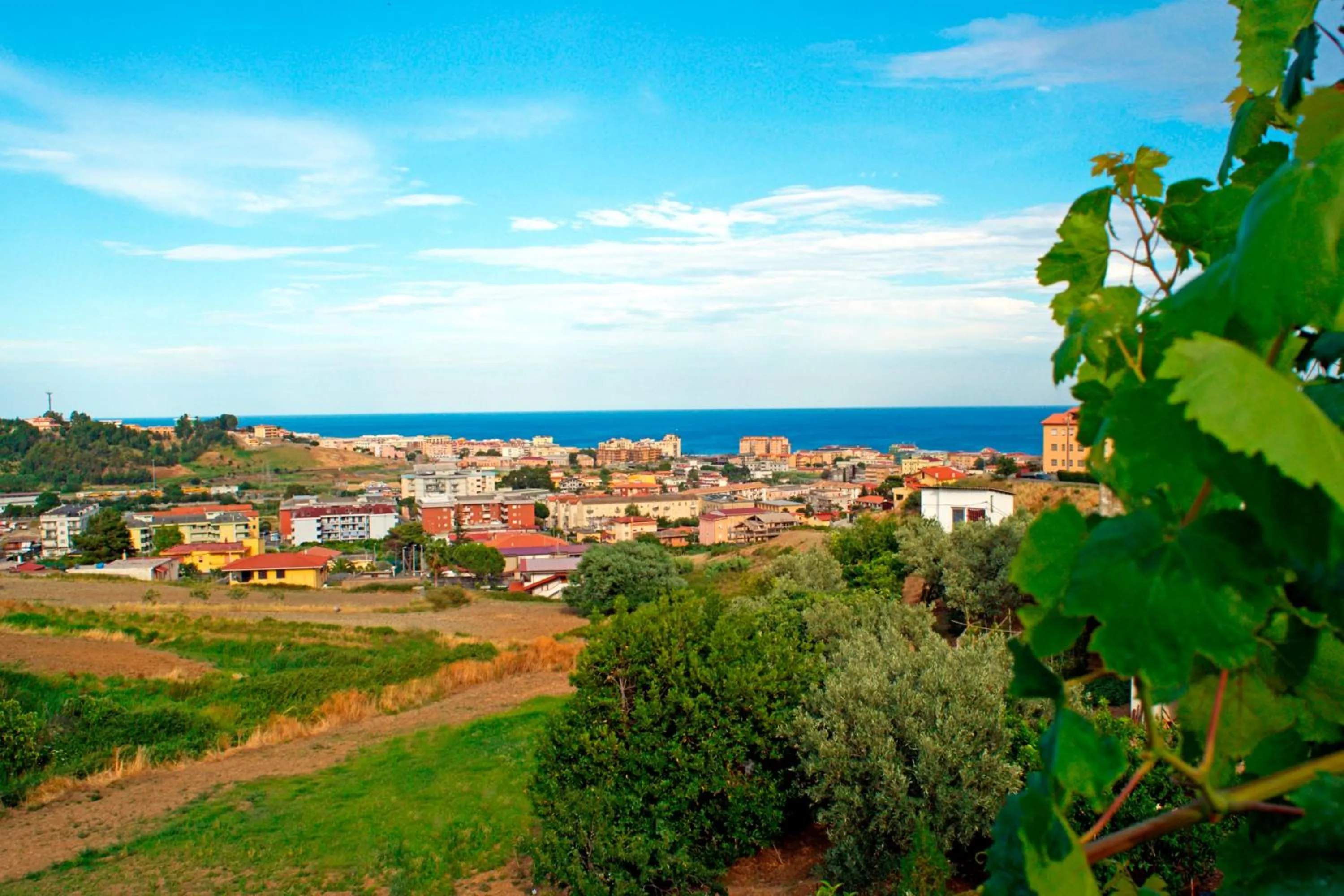 Garden in La Casa Di Mirò