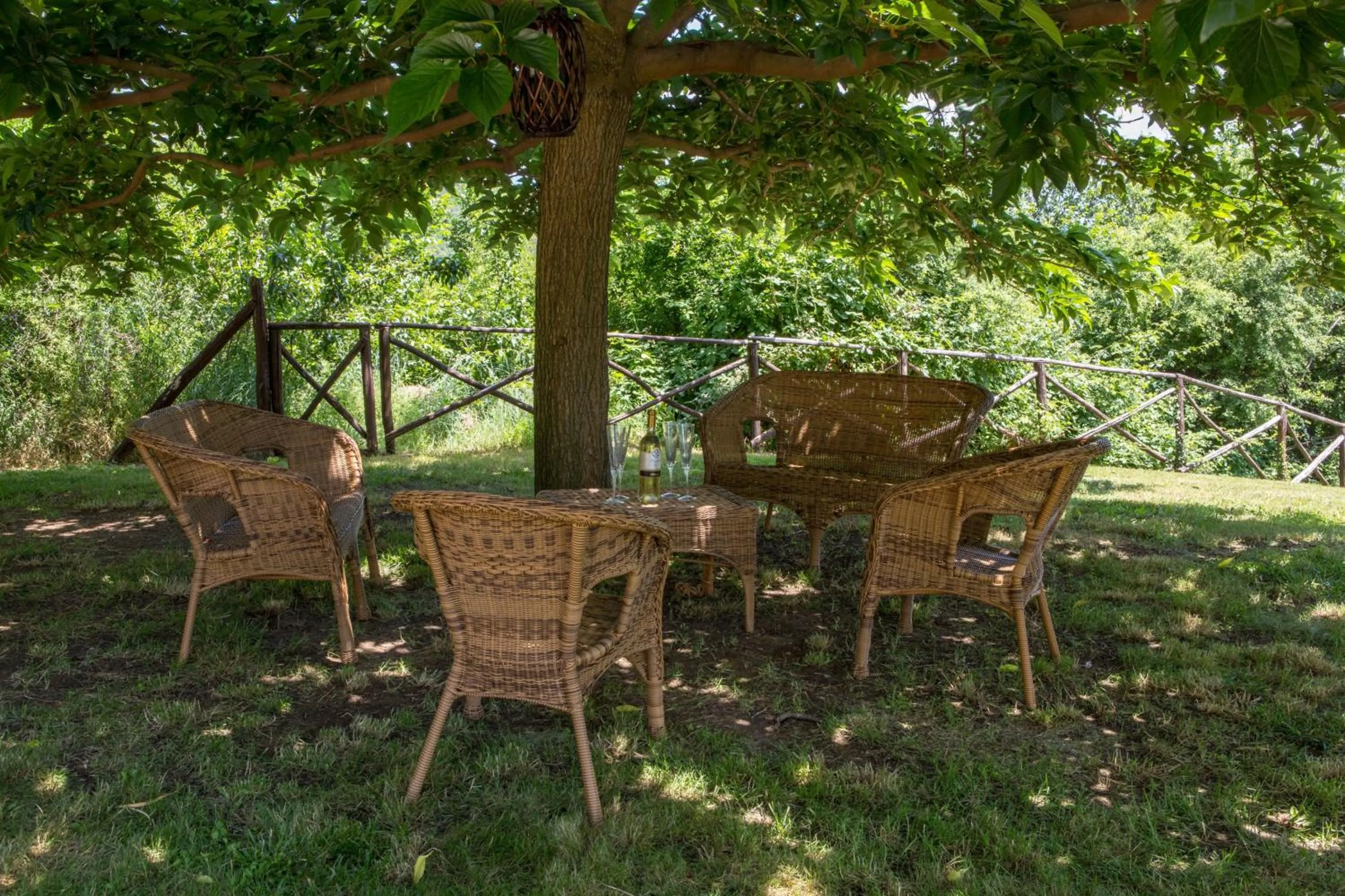 Garden in Villa Orizzonte - Teloni