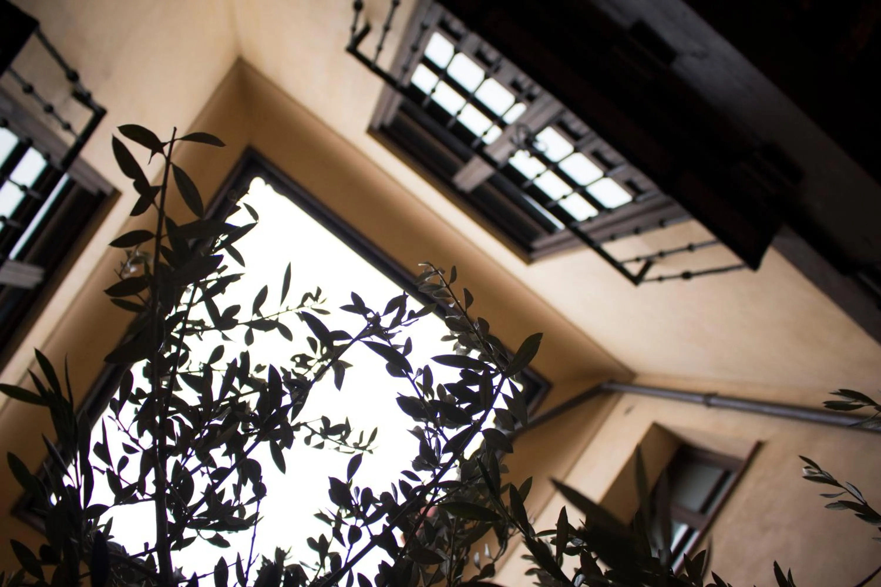 Patio in Quartier Leon Hostel Jabalquinto