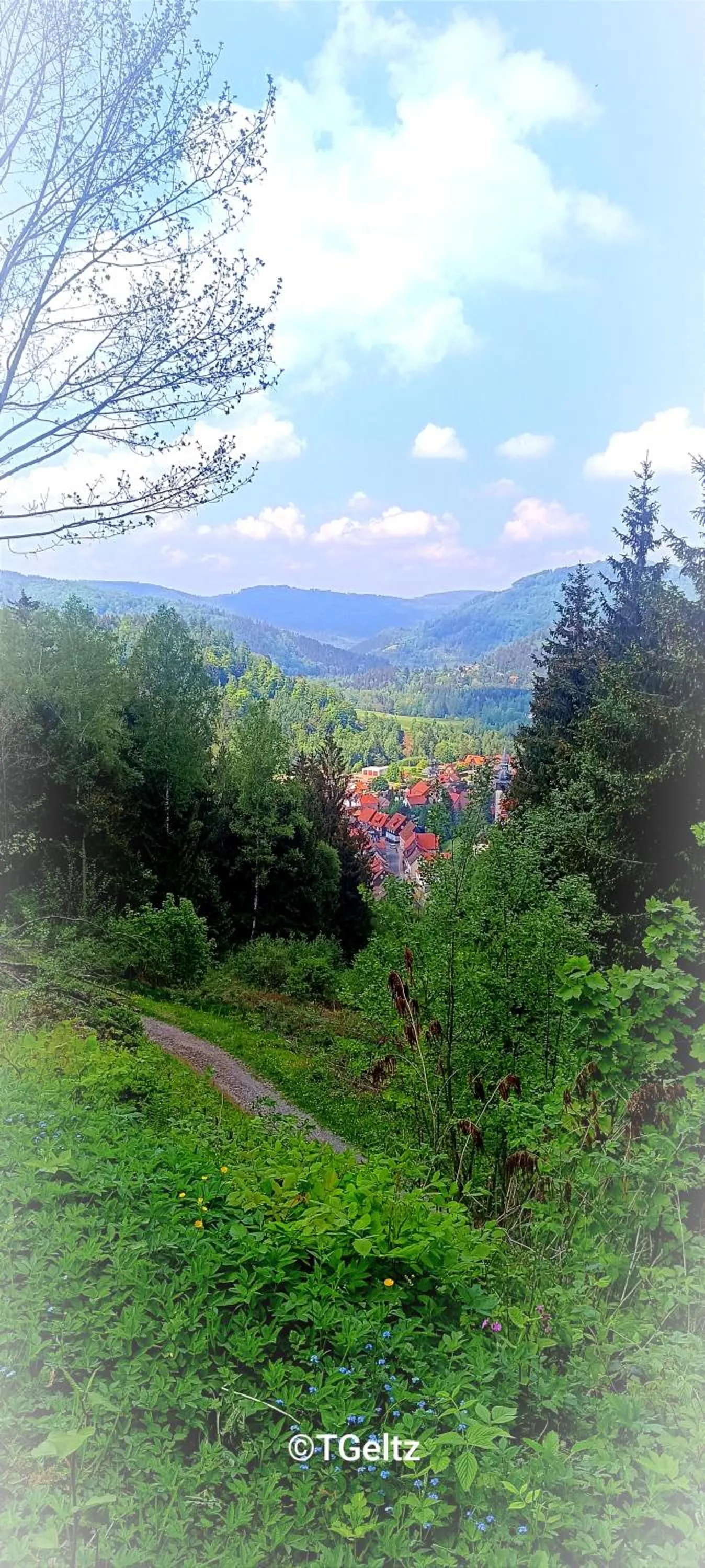 Natural landscape in Hotel Hafermarkt