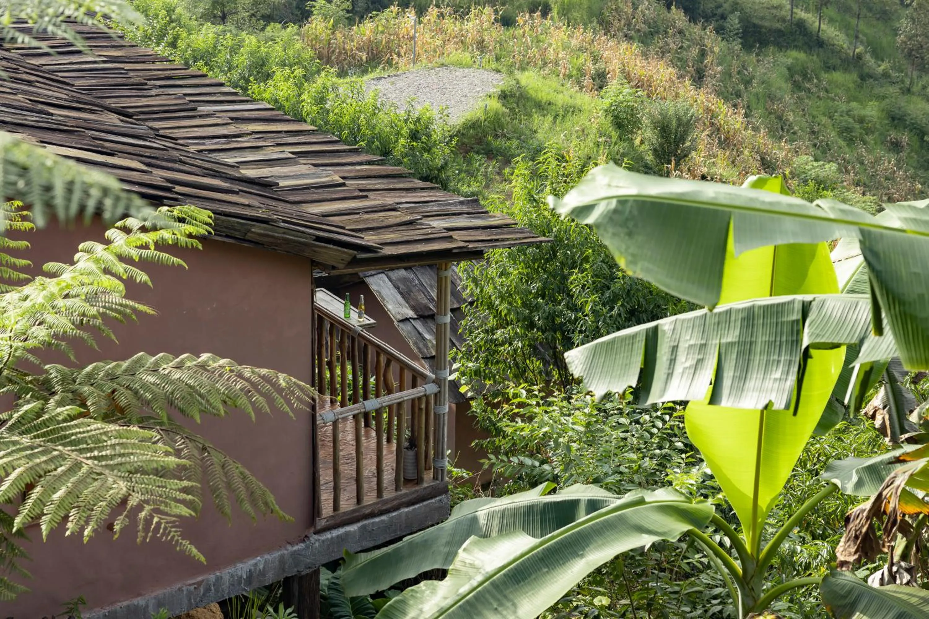 Natural landscape in Chapa Farmstay - Mountain Retreat