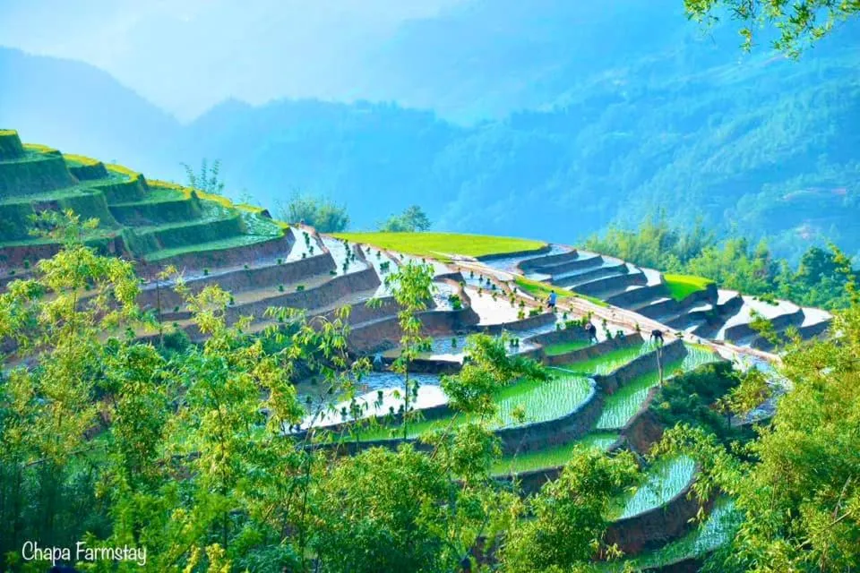 Chapa Farmstay - Mountain Retreat