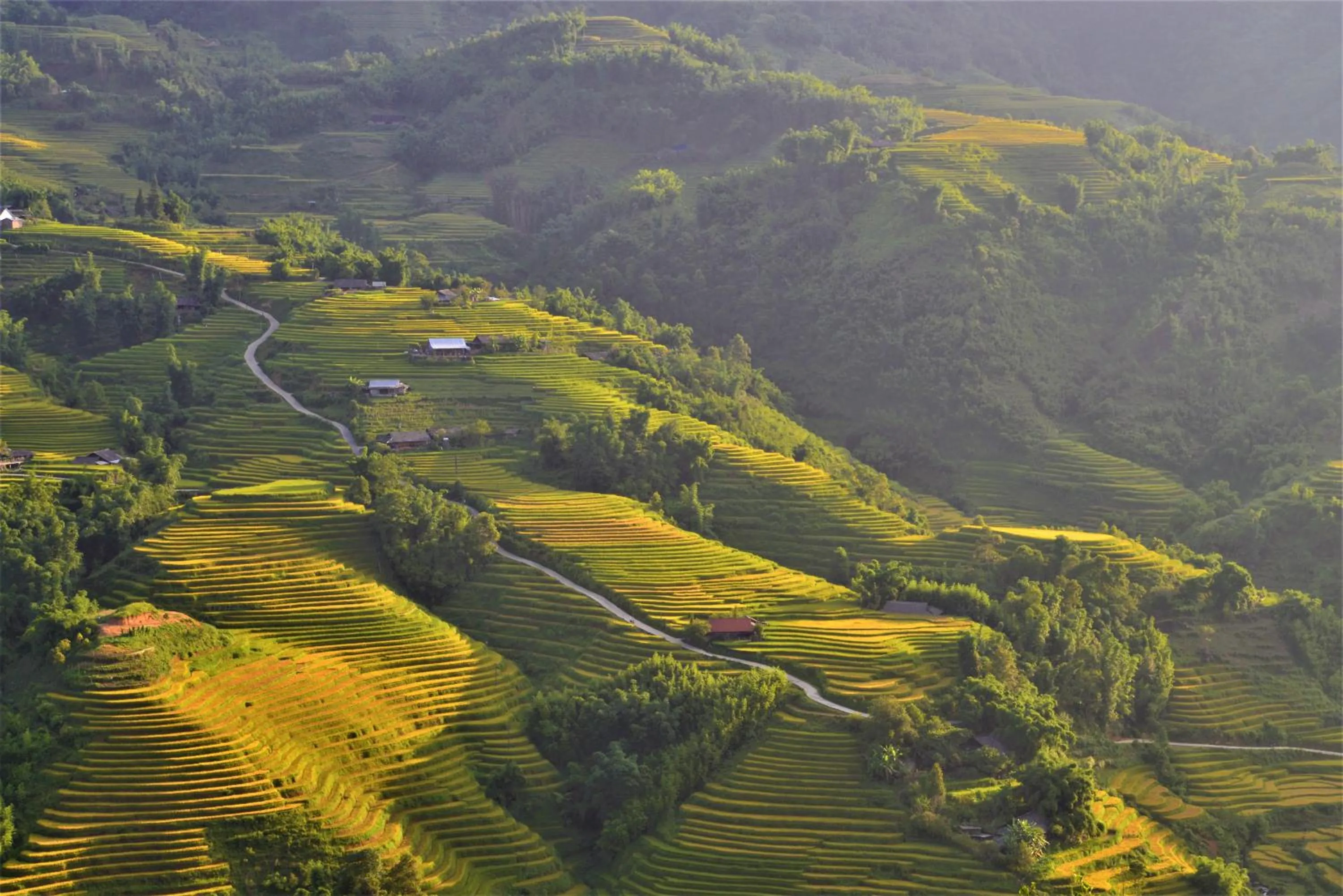 Natural landscape in Chapa Farmstay - Mountain Retreat