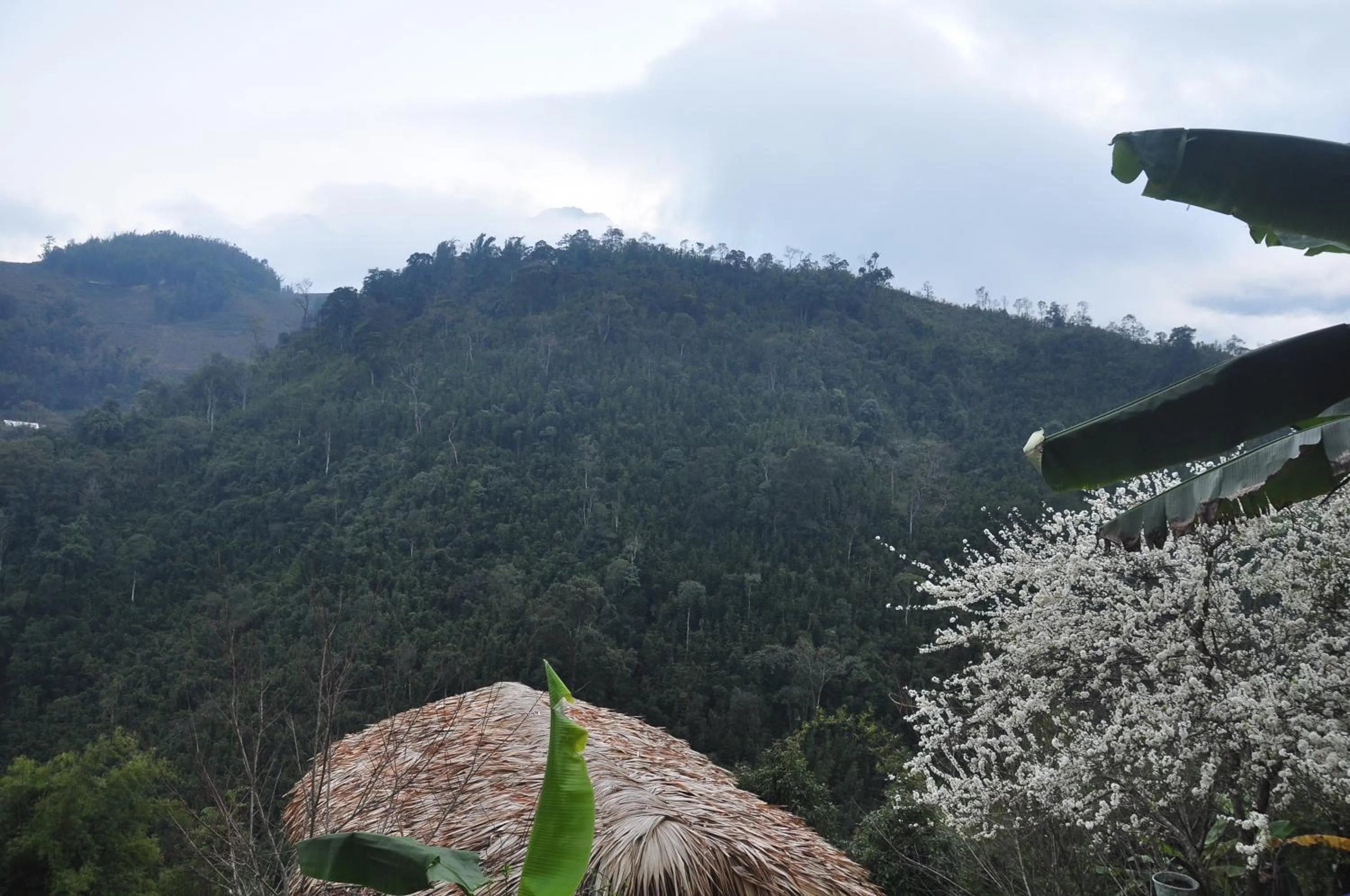 Nearby landmark in Chapa Farmstay - Mountain Retreat