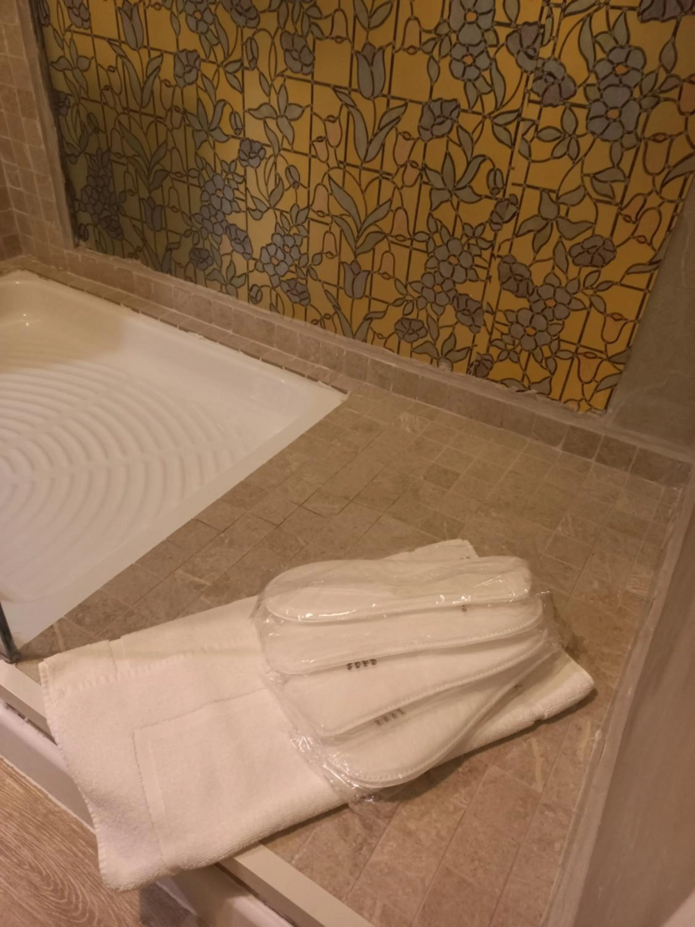 Stefano House Vaticano Roma