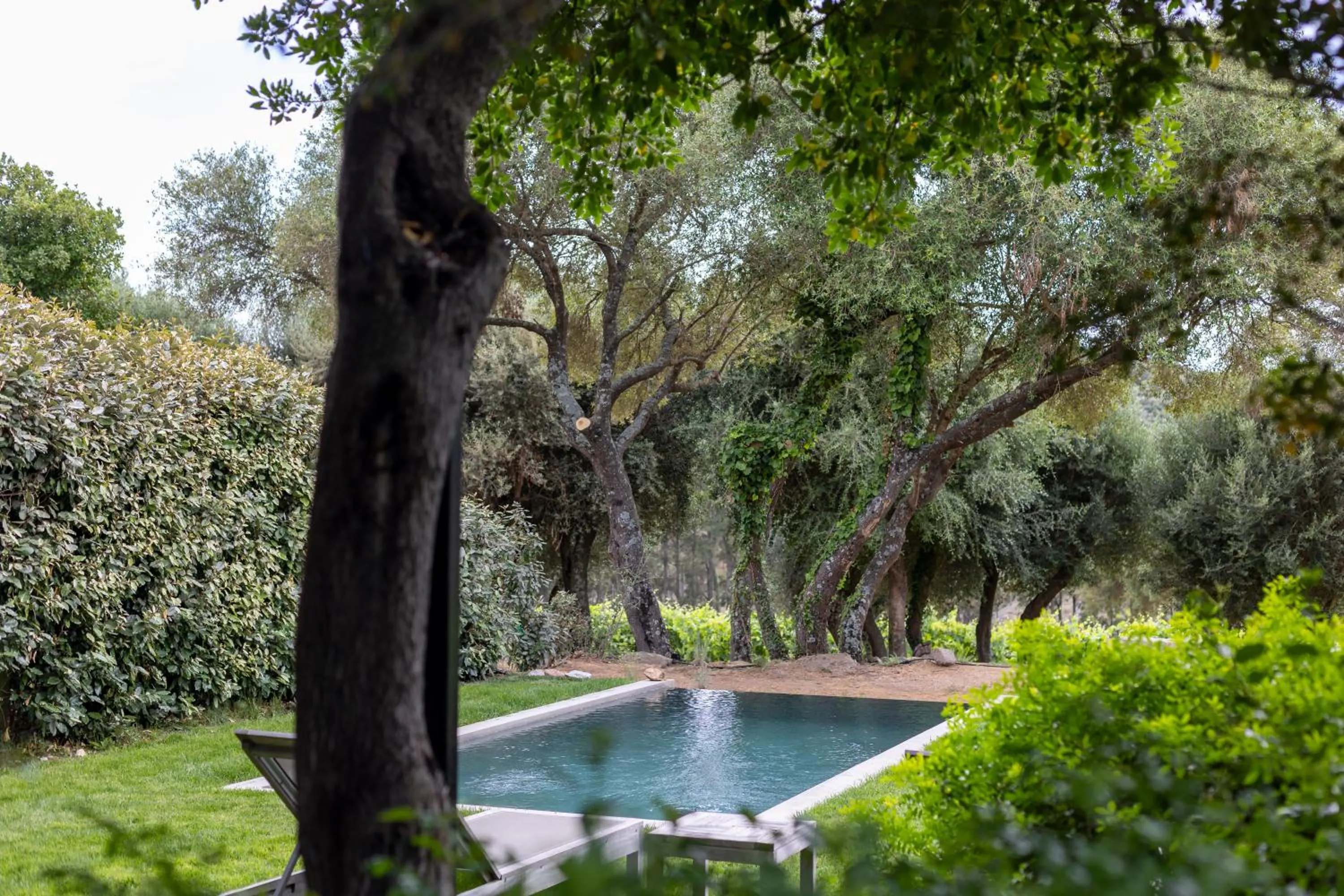Swimming pool in Domaine de Peretti della Rocca