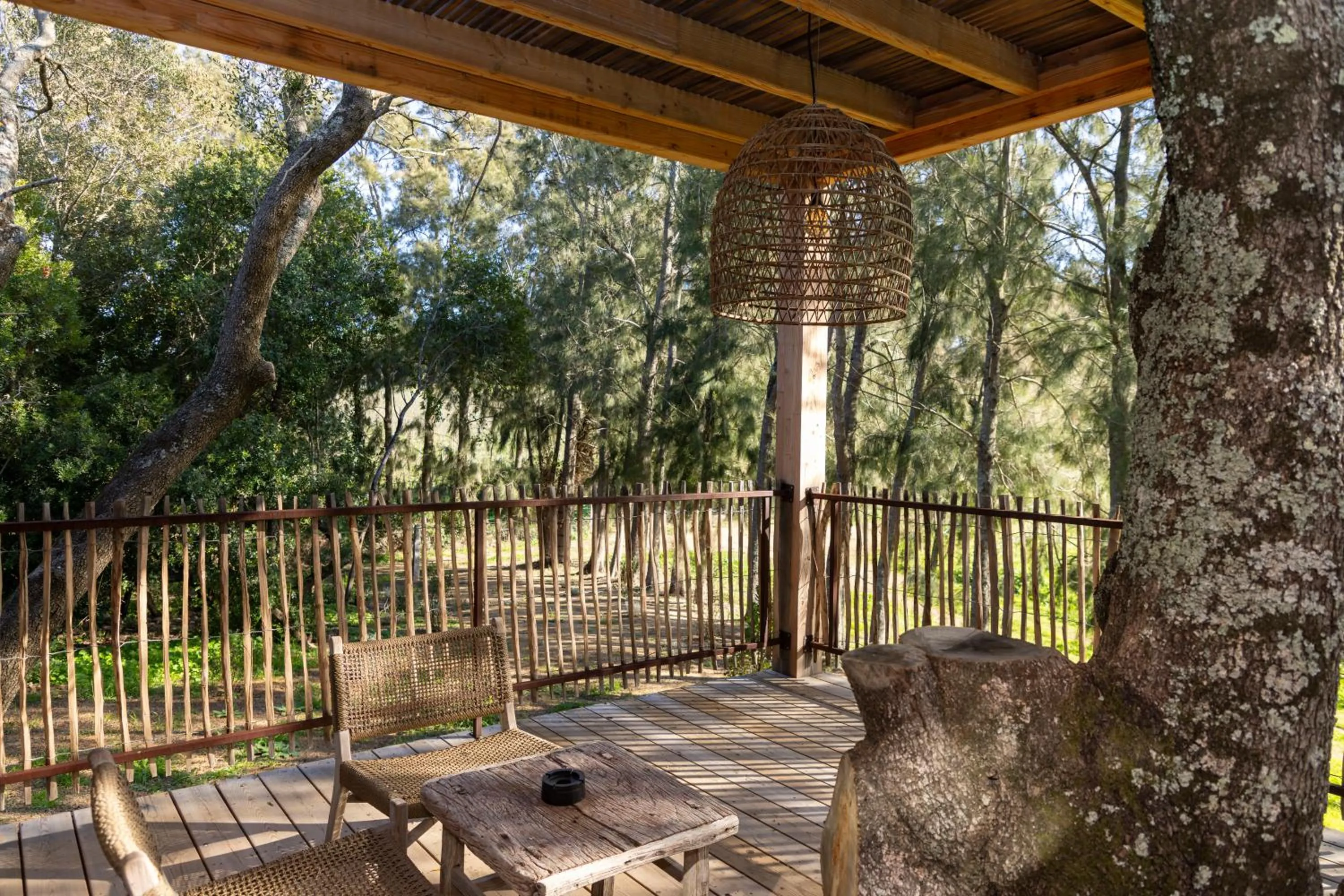 Patio in Domaine de Peretti della Rocca