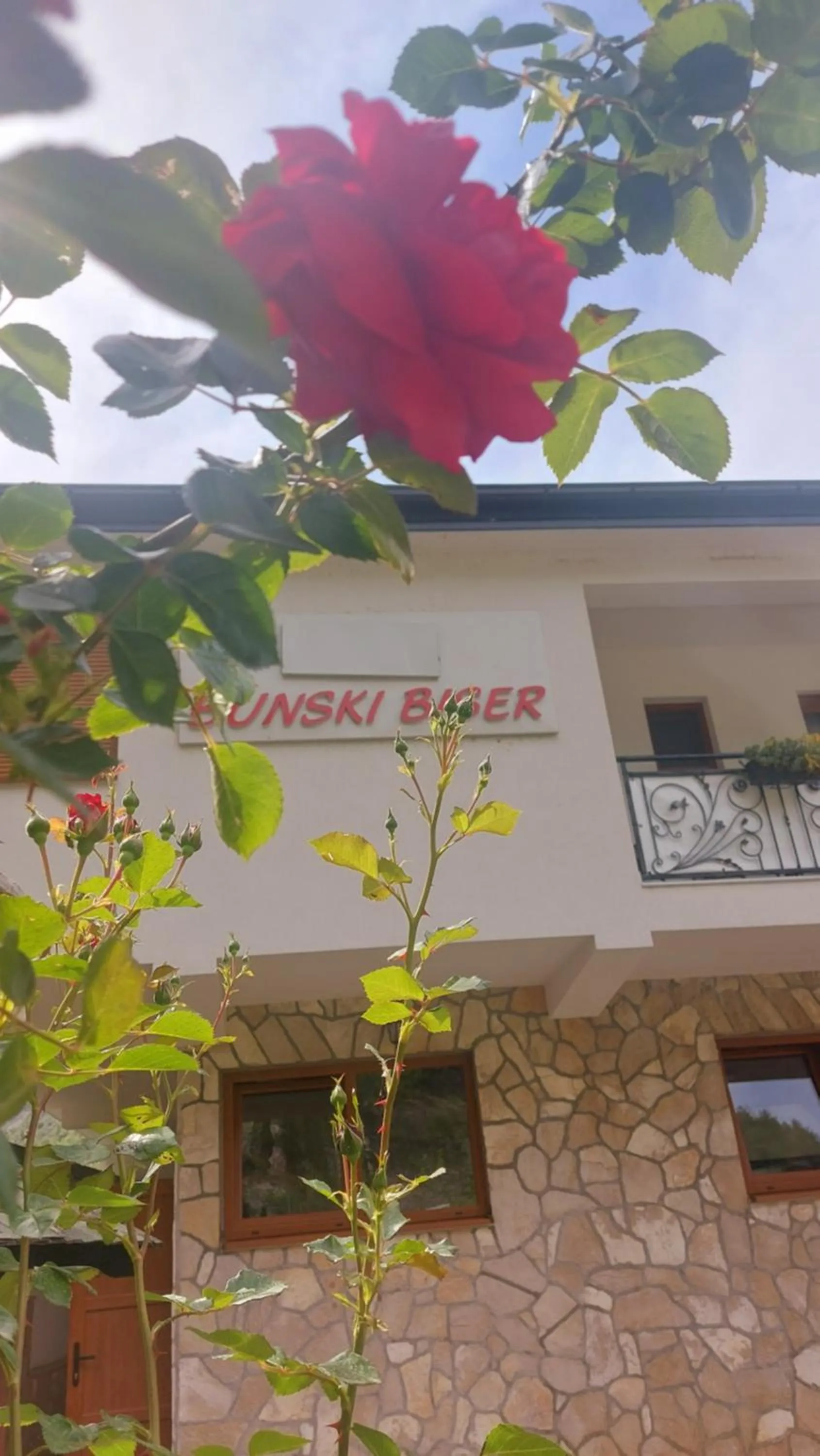 Villa Bunski biser