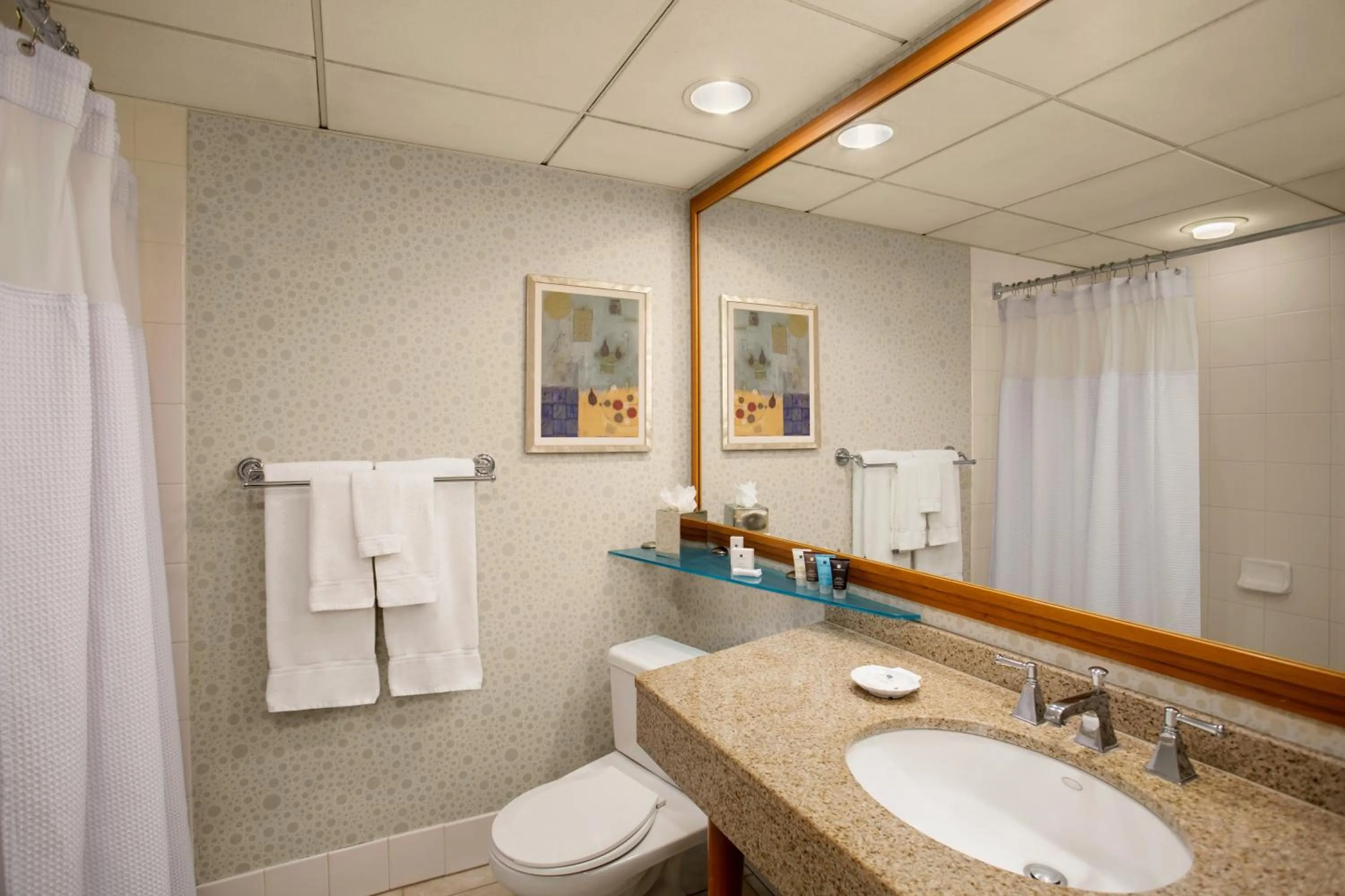 Bathroom in Crowne Plaza San Francisco Airport by IHG