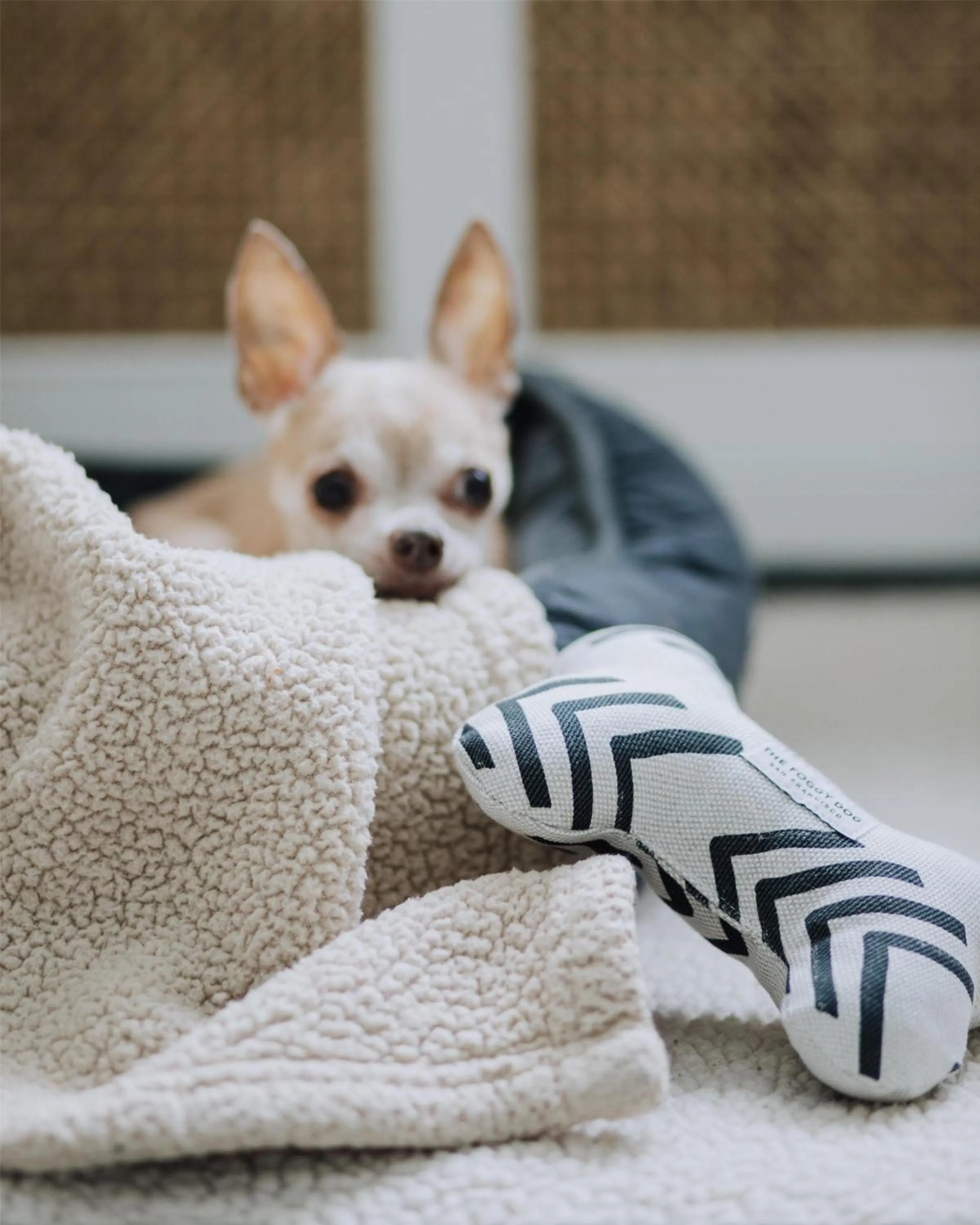 Property building in Wayfinder Newport