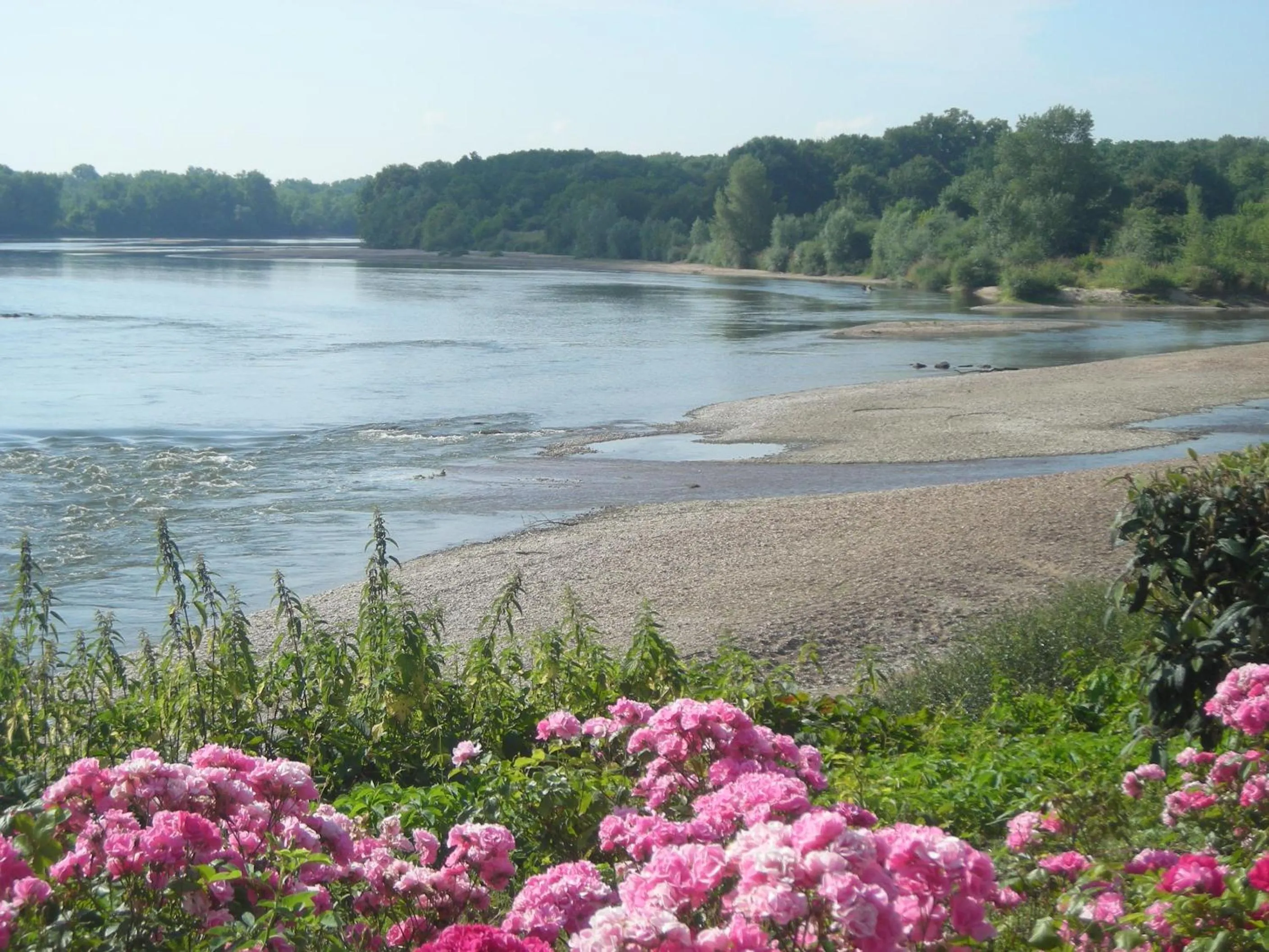 Natural landscape in Hotel De La Loire