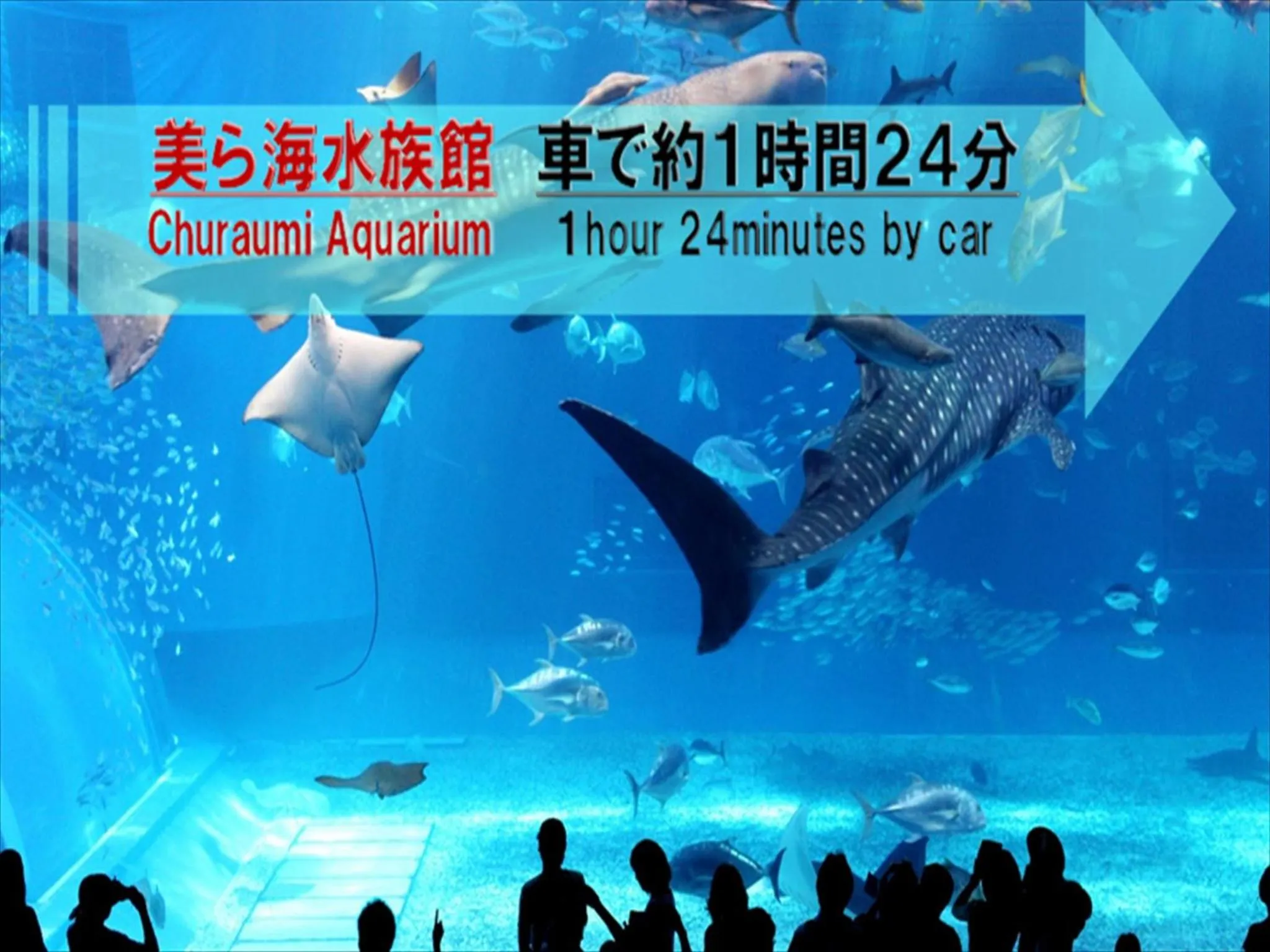 Nearby landmark in Hotel bin