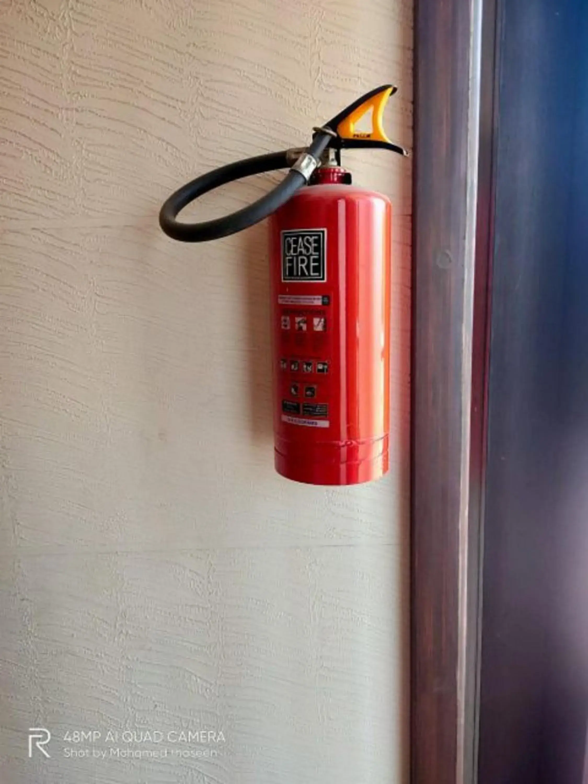 Property building in THE CASTELLO RESIDENCY Property building in THE CASTELLO RESIDENCY