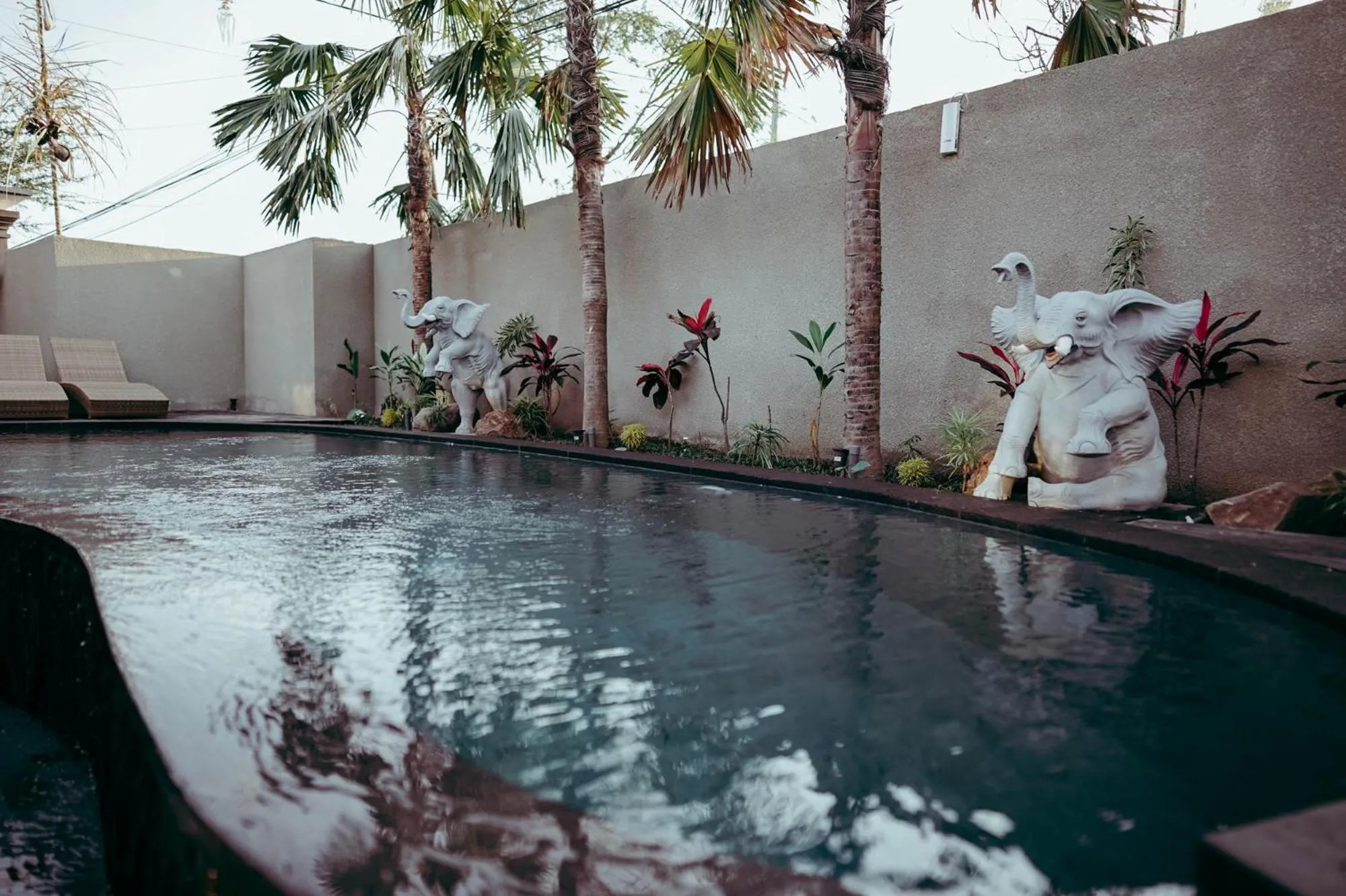 Swimming pool in Widi Agung Villa