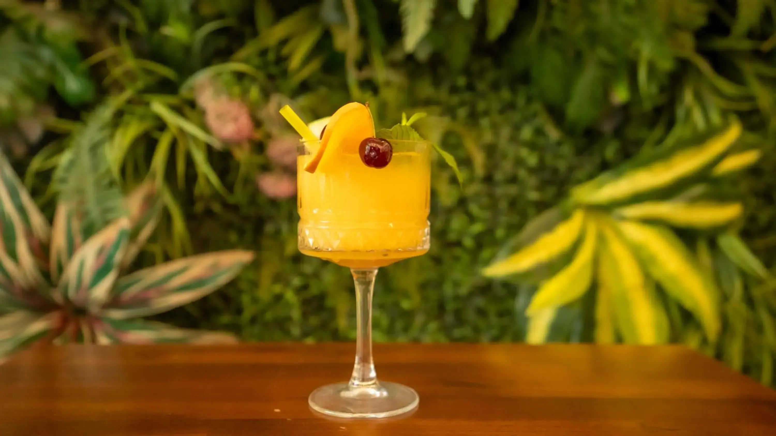 Food and drinks in Farina Hotel By Cigno Food and drinks in Farina Hotel By Cigno