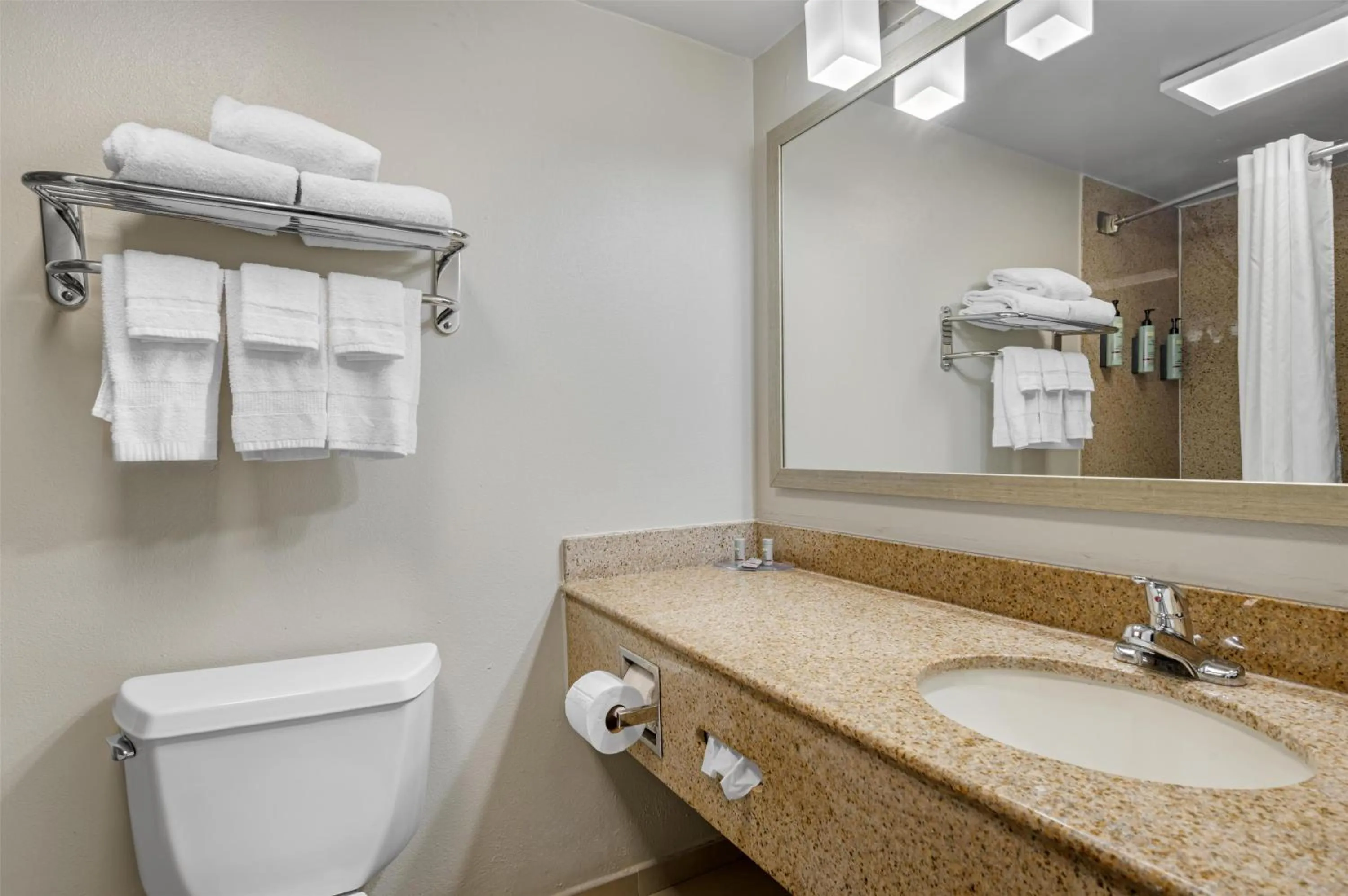 Bathroom in Best Western Center Inn